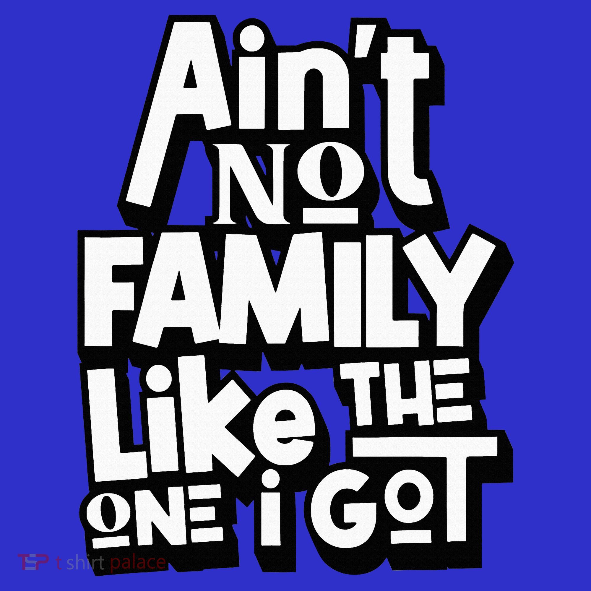 AinT No Family Like The One I Got For Family T-Shirt