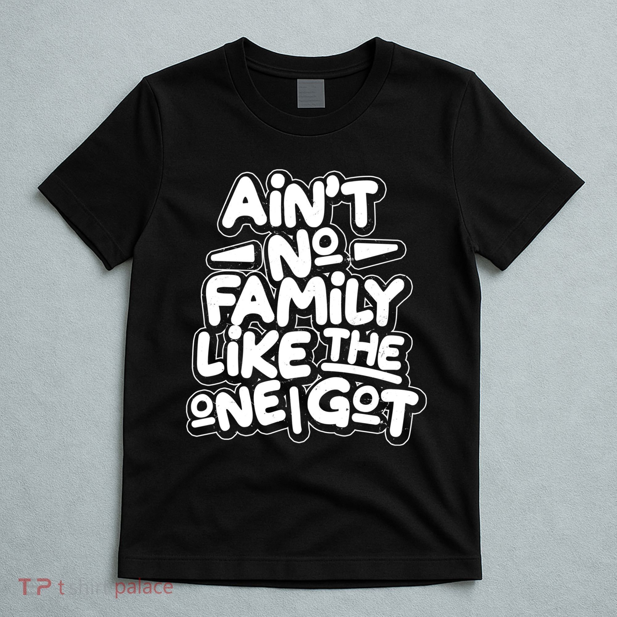 Ain't No Family Like The One I Got T-Shirt