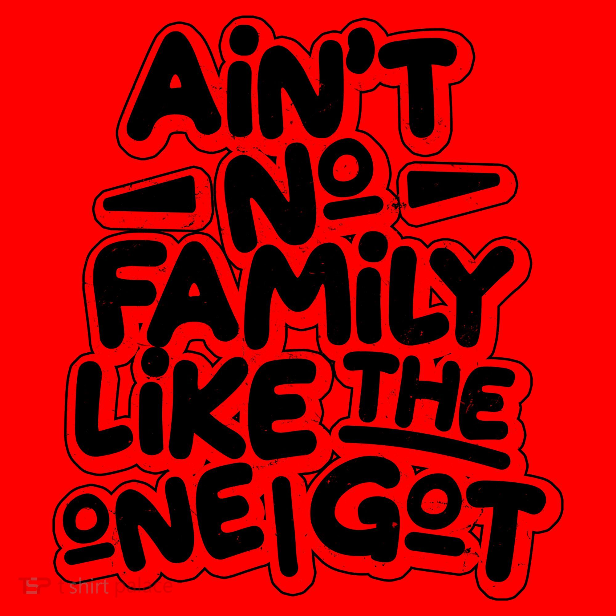 Ain't No Family Like The One I Got Santa Hat