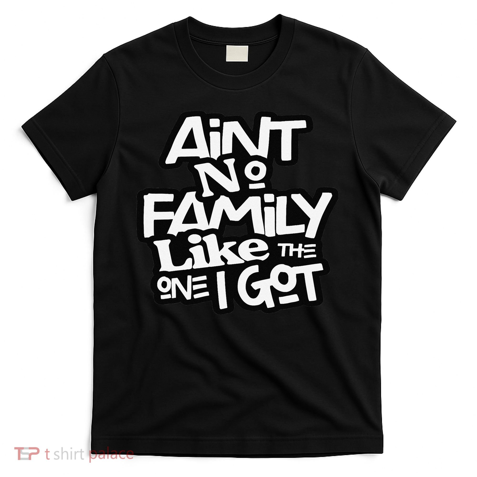 Ain't No Family Like The One I Got For Family T-Shirt