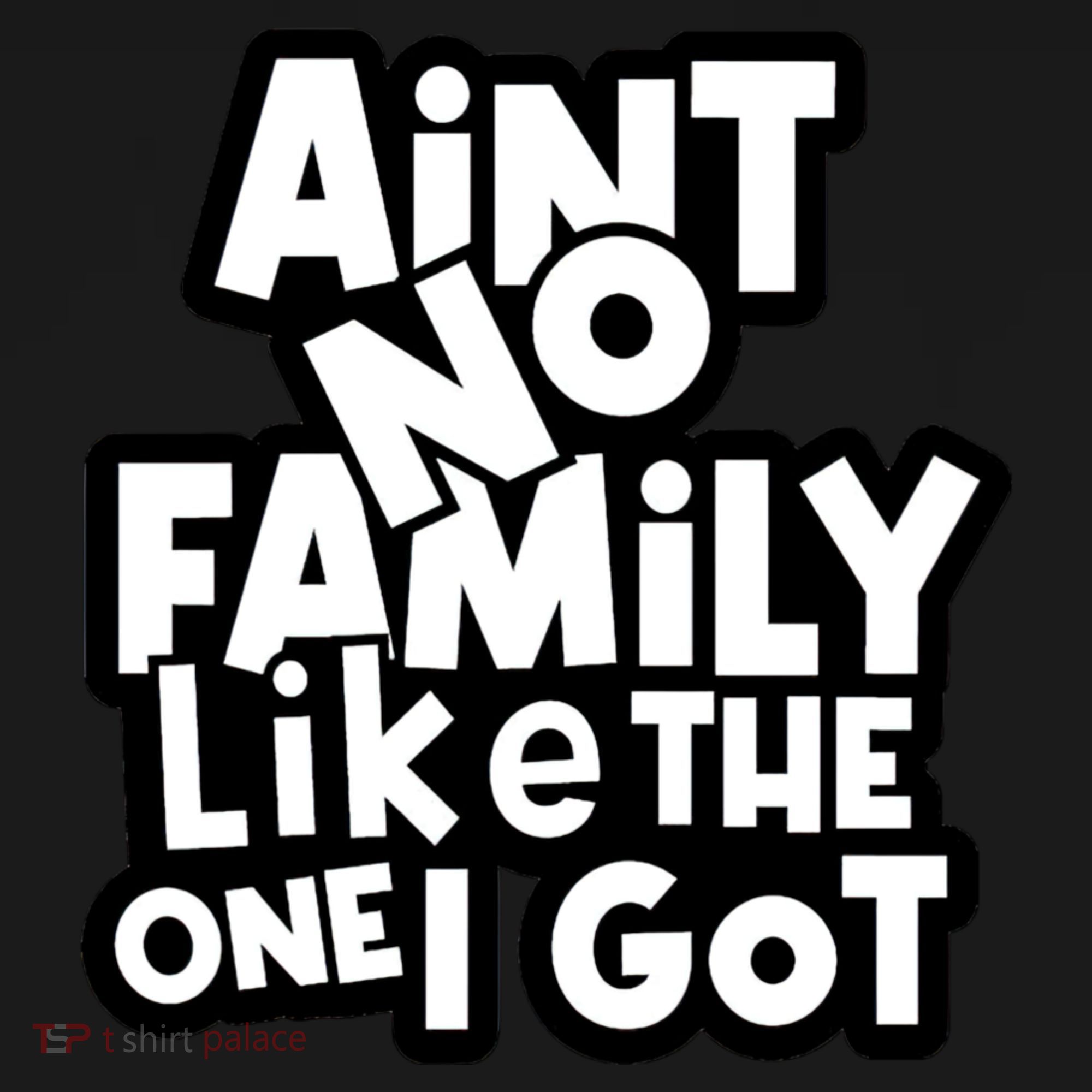Ain't No Family Like The One I Got Matching Family Women's Tank Top