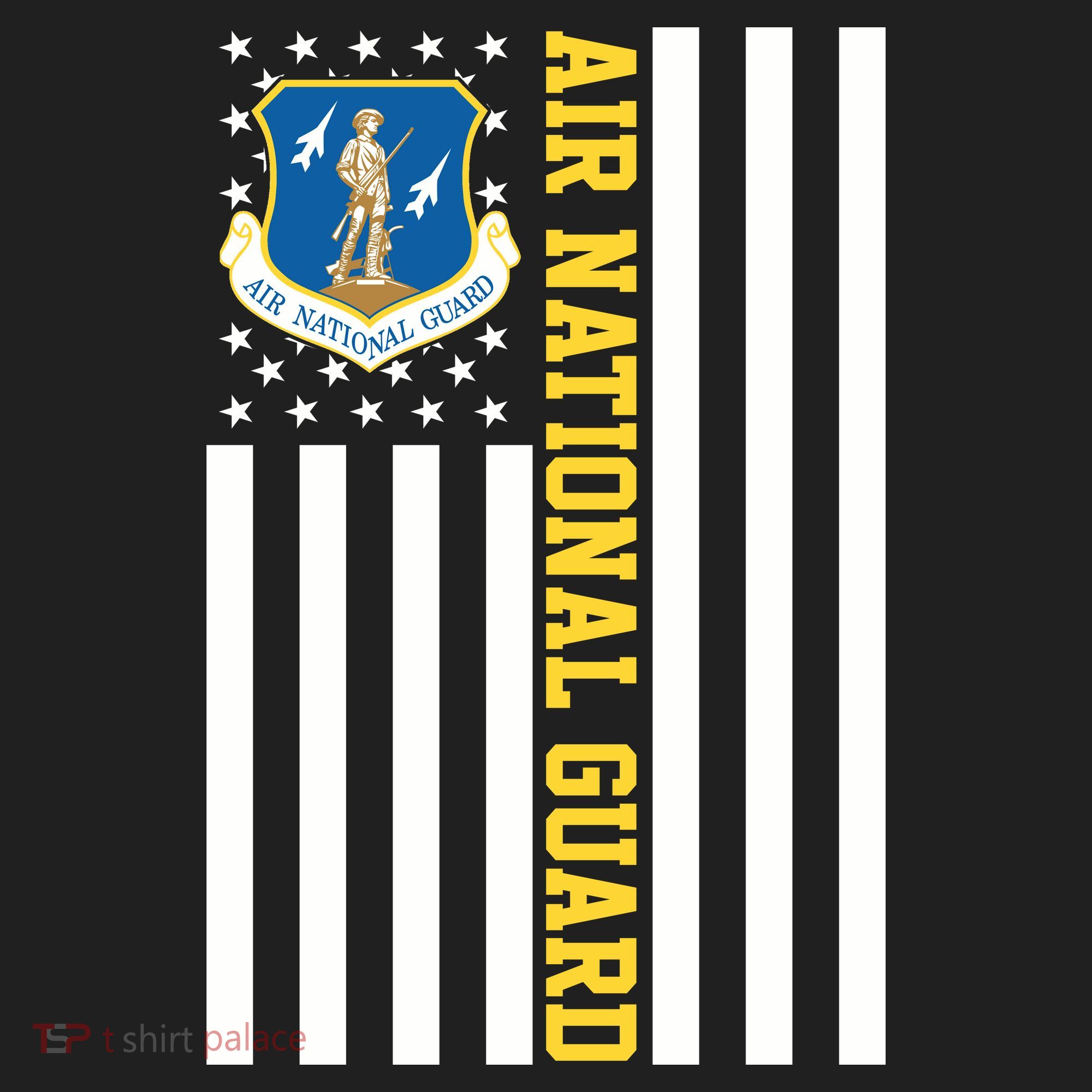 Air National Guard American Flag Gift Beanie