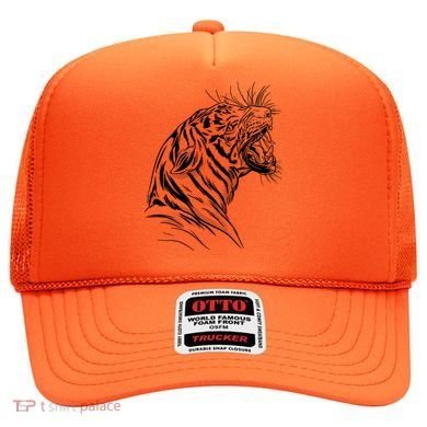 Angry Tiger Hat