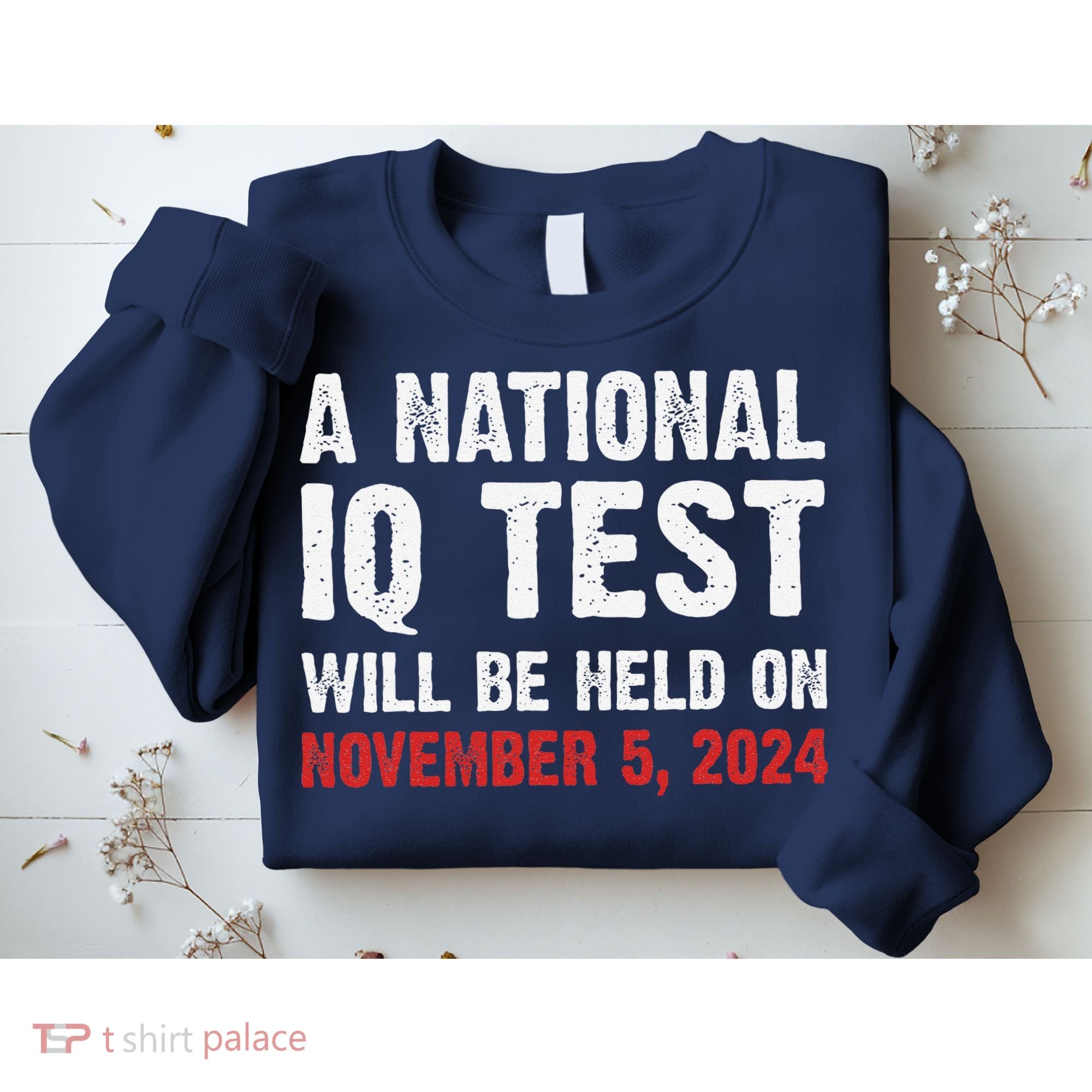 A National Iq Test Will Be Held On Nov 52024 Sweatshirt