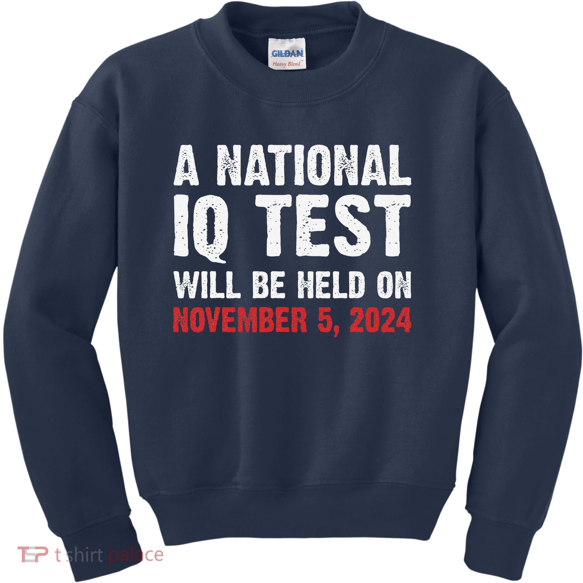A National Iq Test Will Be Held On Nov 52024 Kids Sweatshirt
