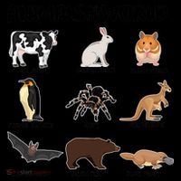 Animals Of The World Funny Names Coffee Mug thumb 5