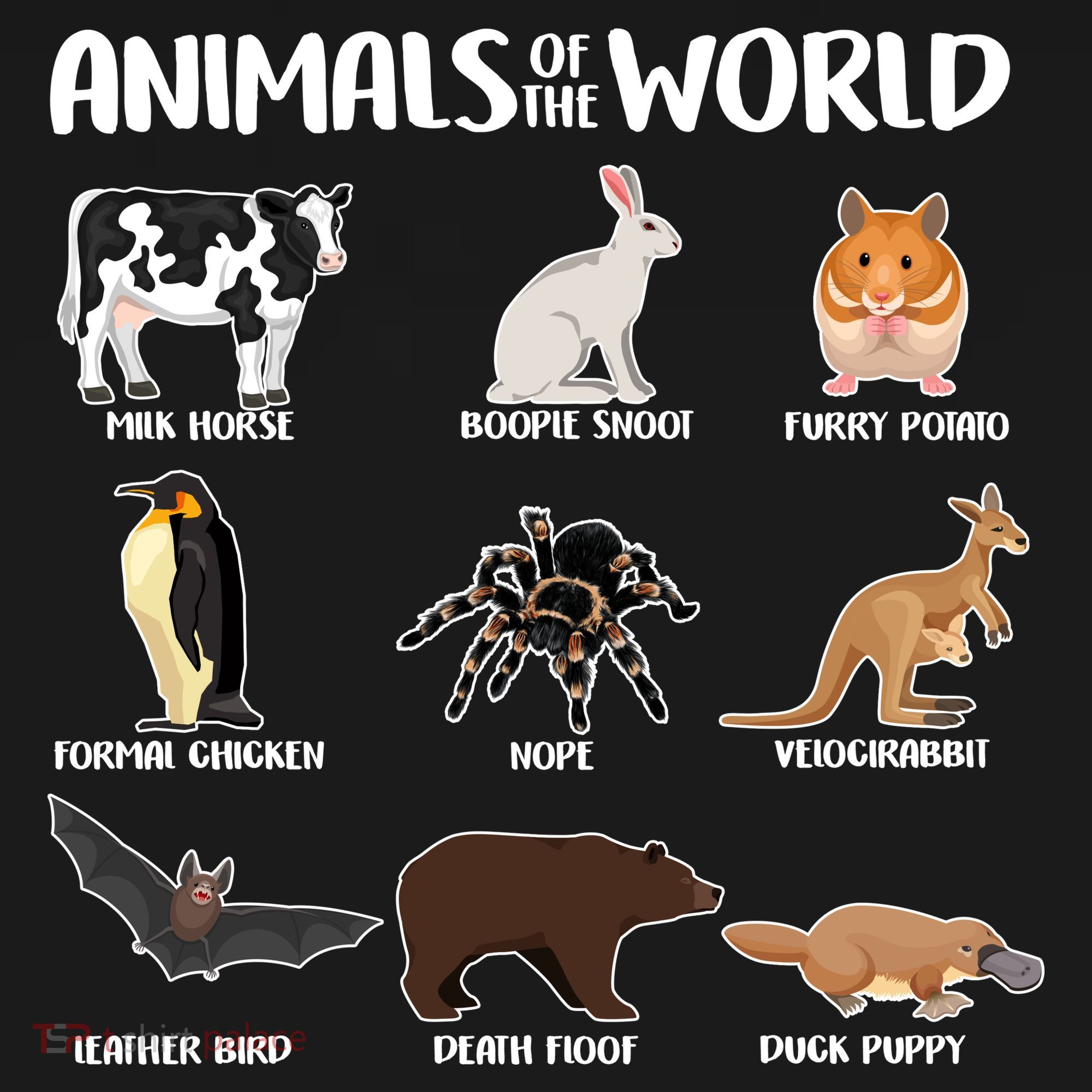 Animals Of The World Funny Names Ornament
