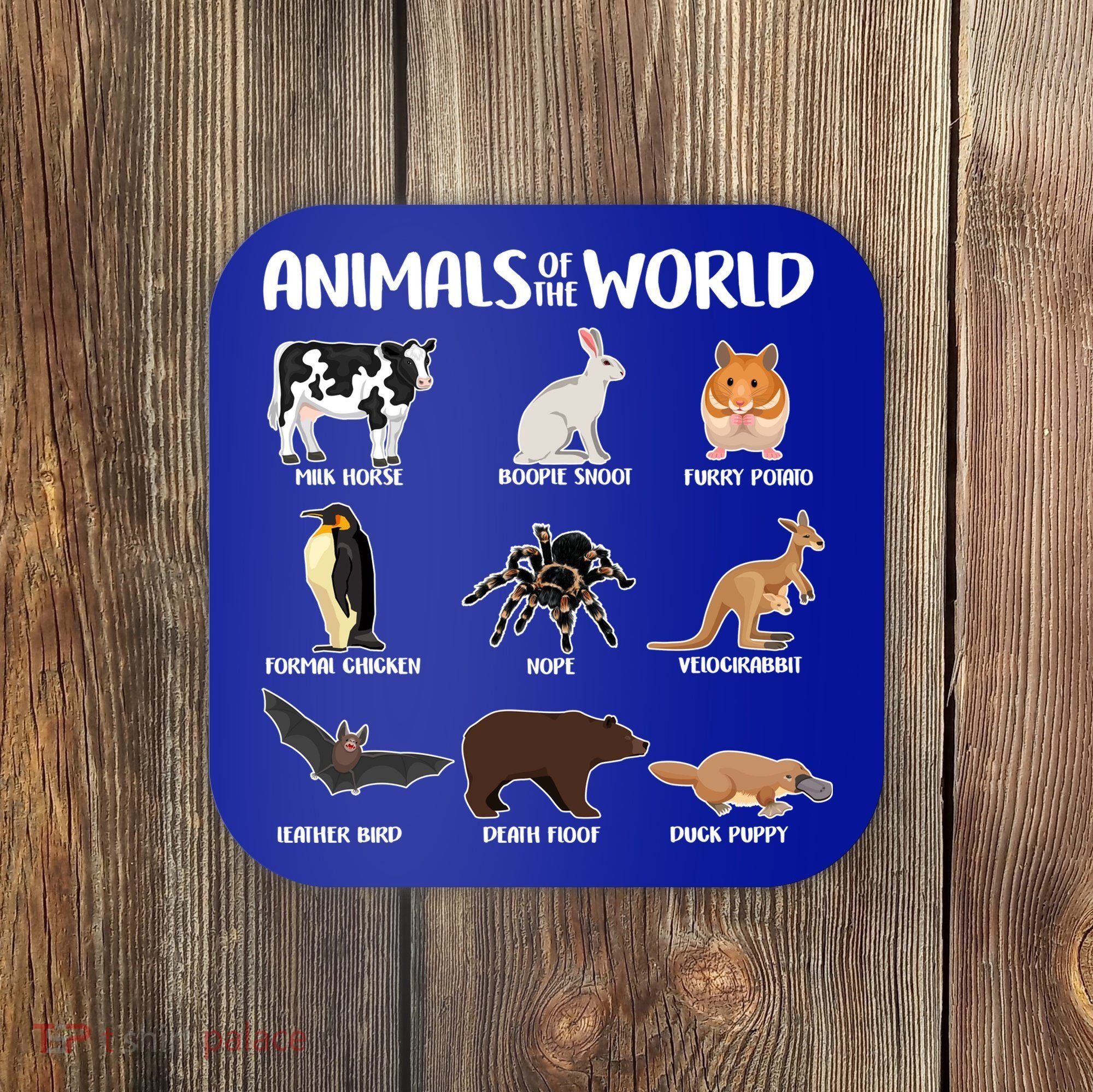 Animals Of The World Funny Names Coaster