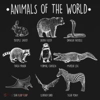 Animals Of the World Funny Wildlife Women's Hoodie thumb 2
