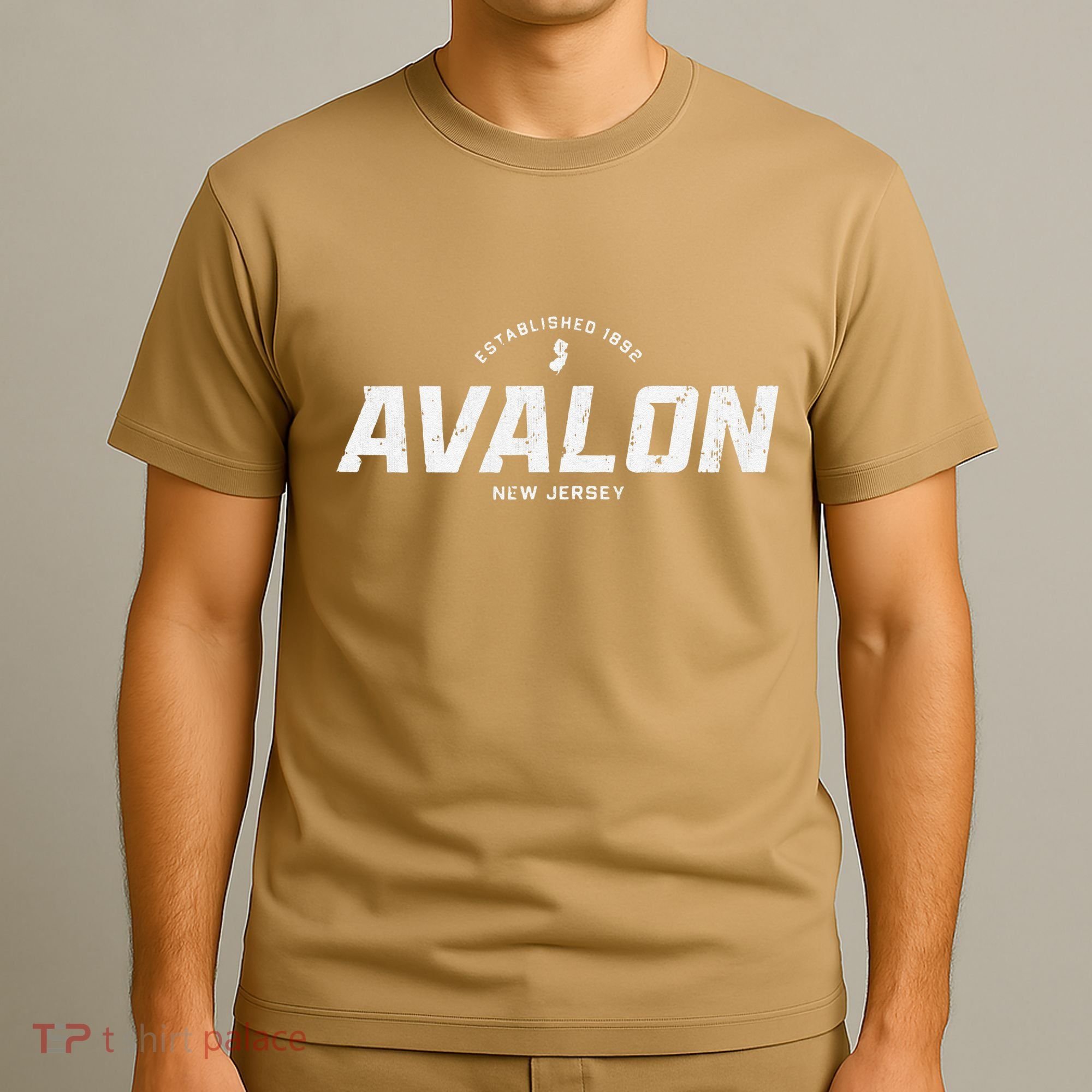 Avalon New Jersey Nj Vintage Athletic Sports T-Shirt