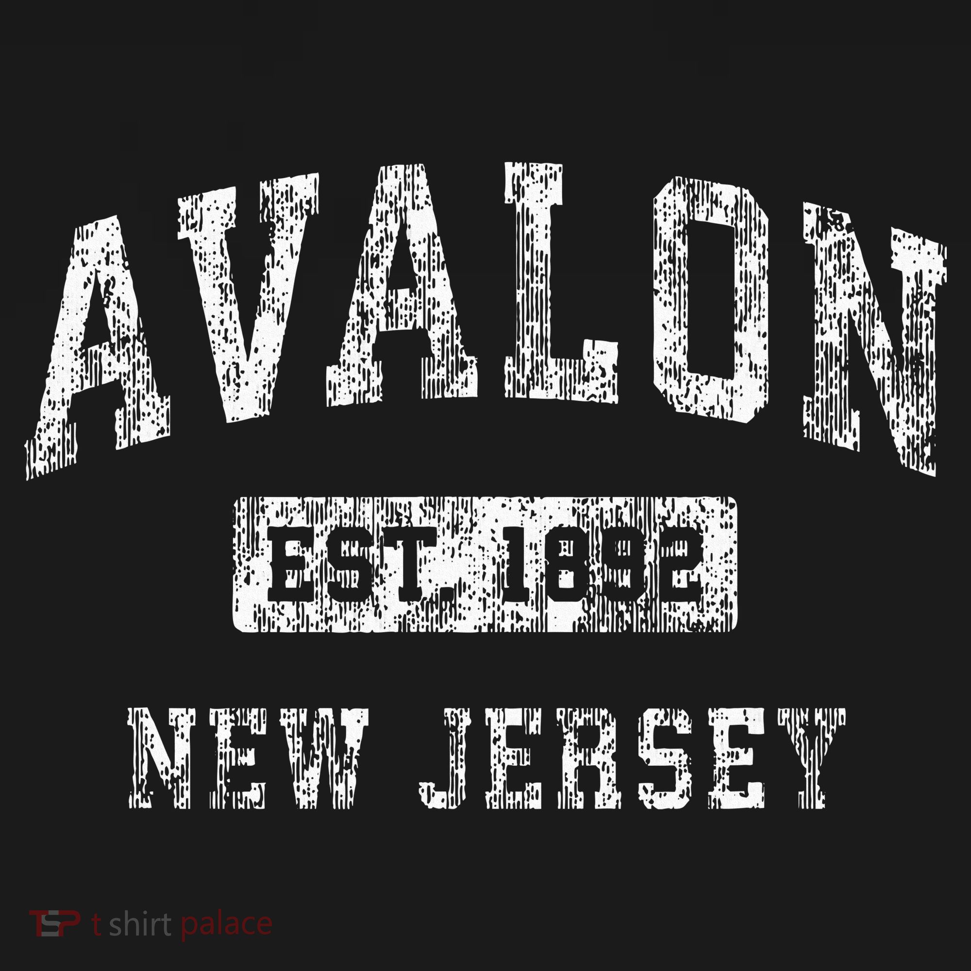Avalon New Jersey Nj Vintage Established T-Shirt