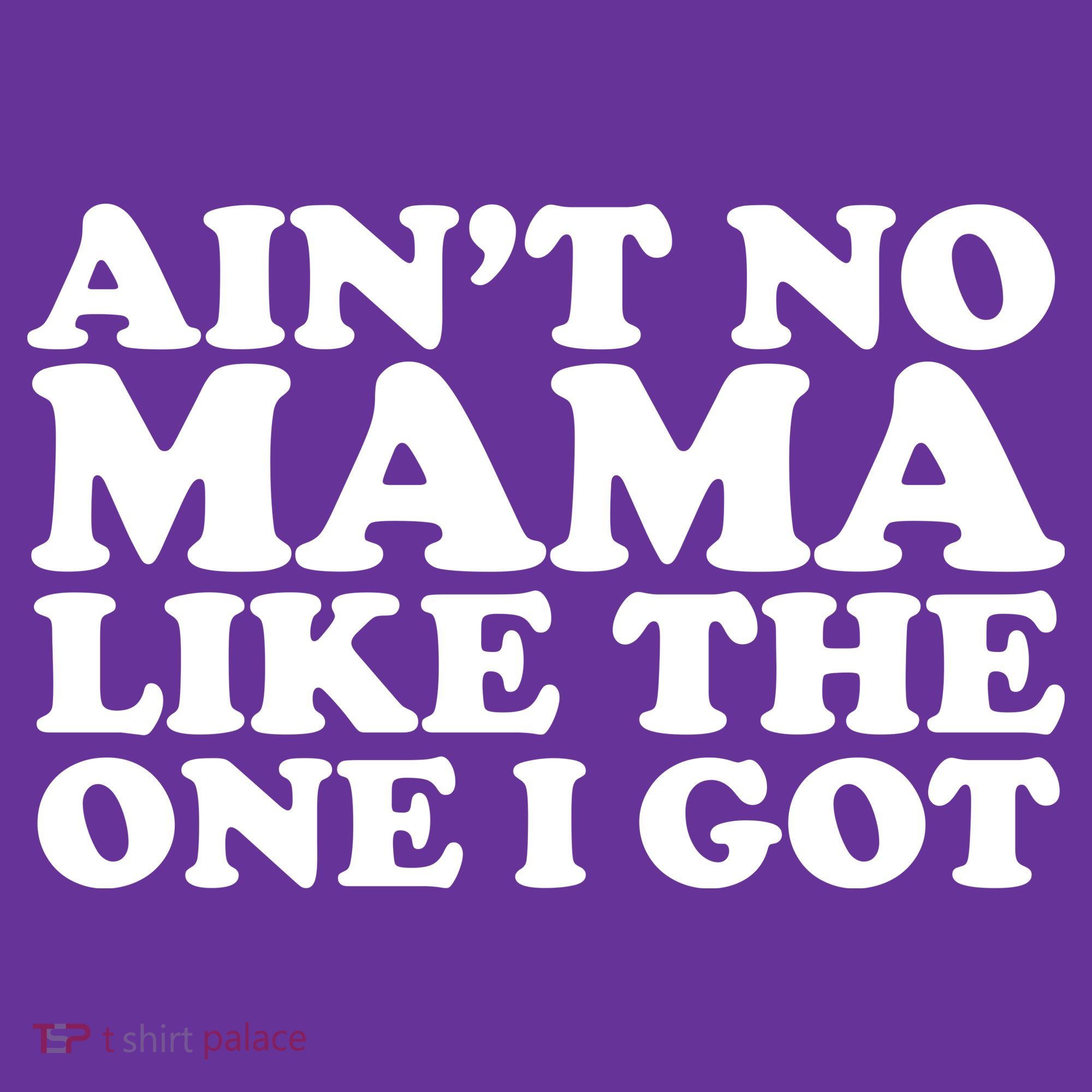 Ain't No Mama Like The One I Got T-Shirt