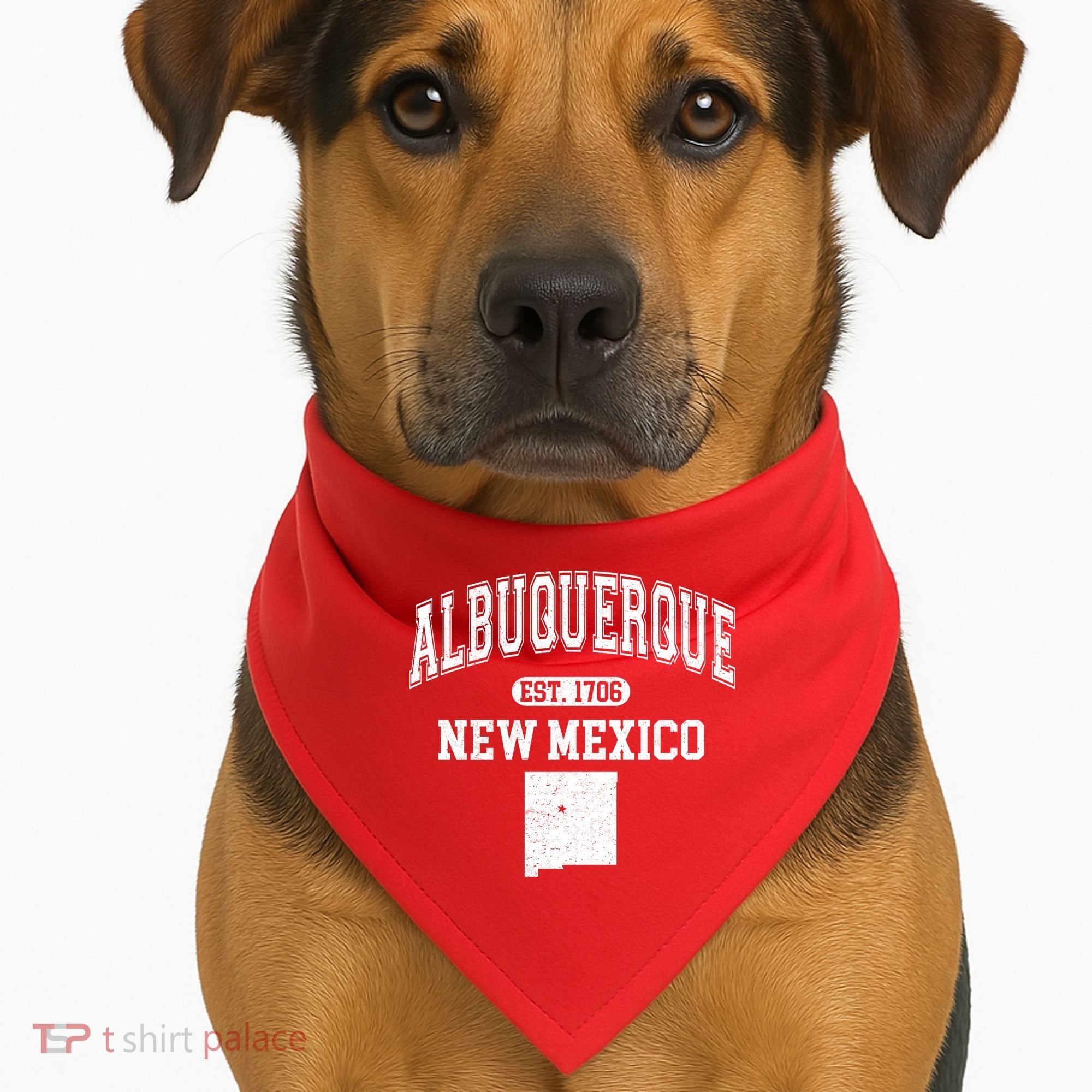 Albuquerque New Mexico Est. 1706 Varsity USA-Made Doggie Bandana