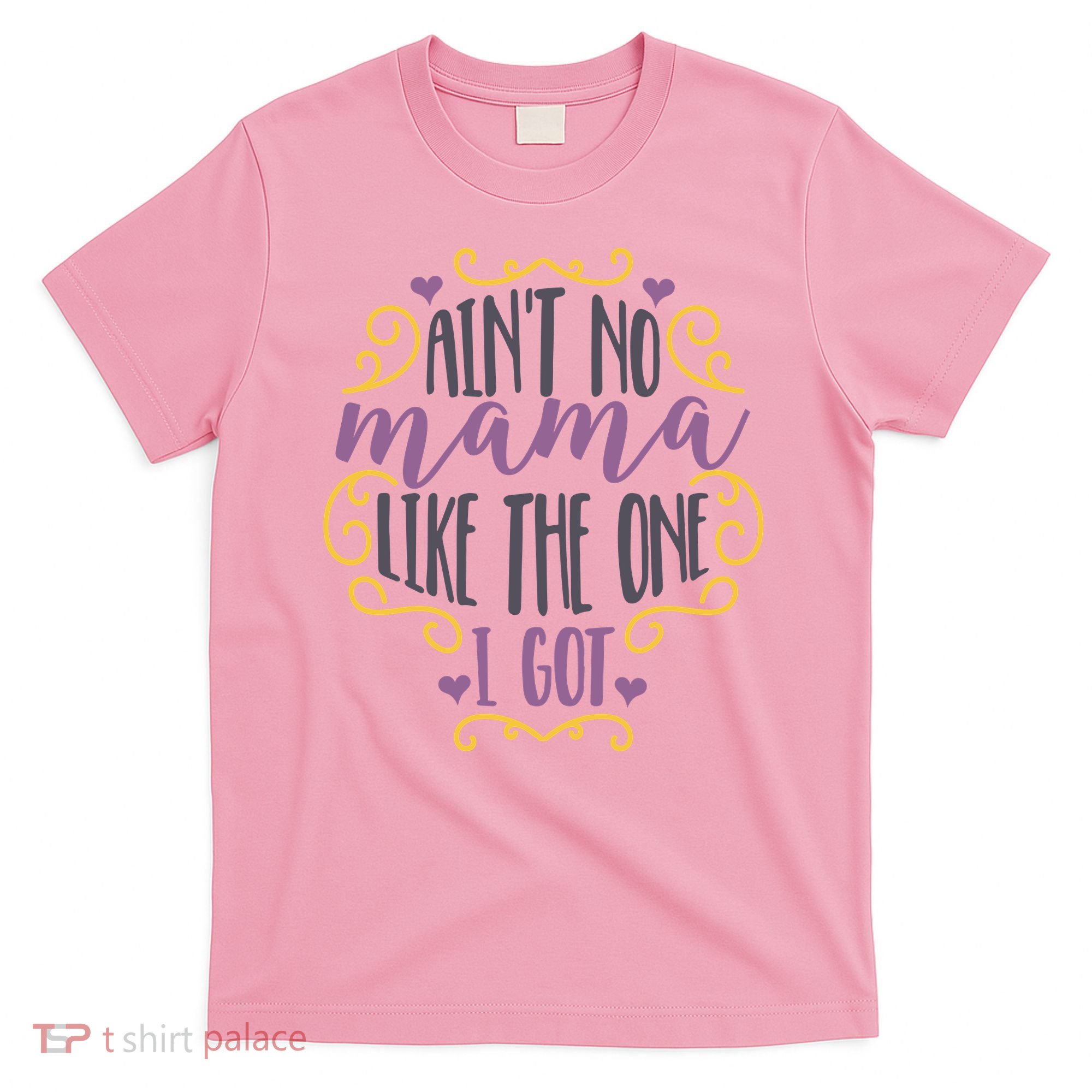 Ain't No Mama Like The One I Got T-Shirt