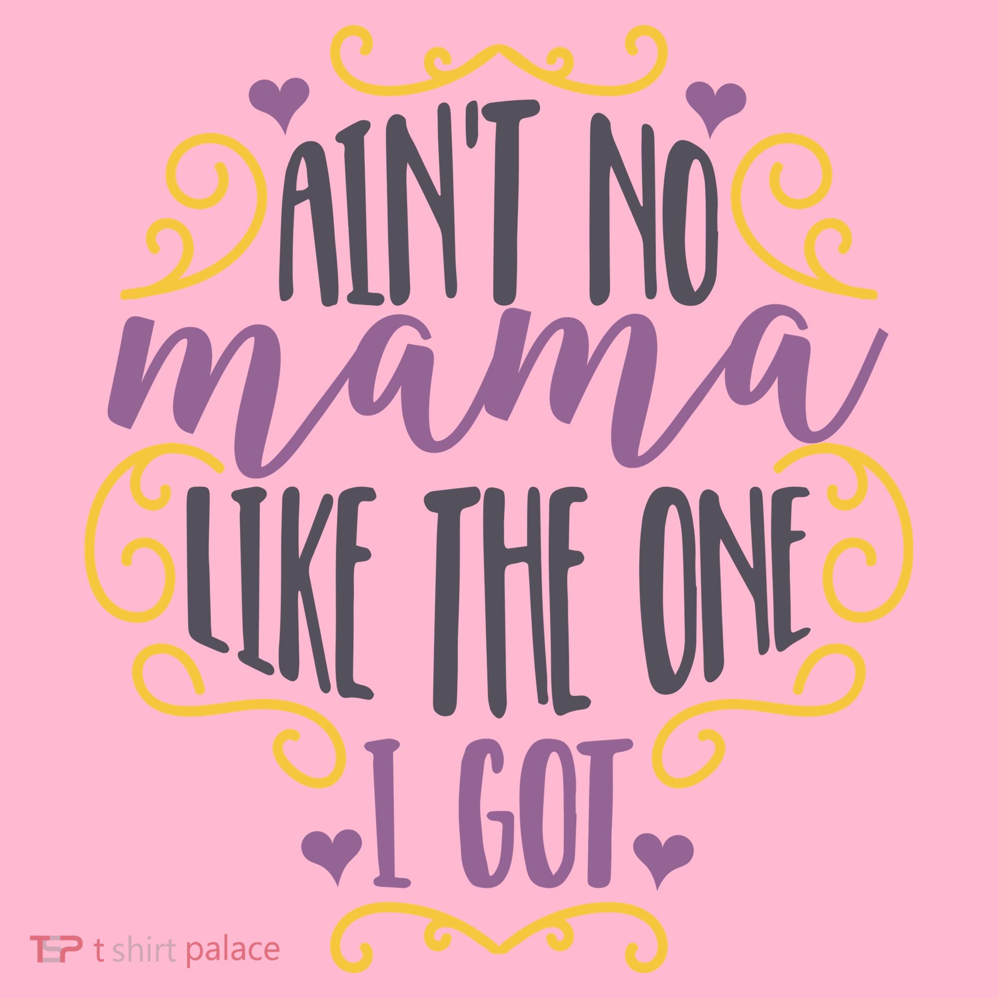 Ain't No Mama Like The One I Got T-Shirt
