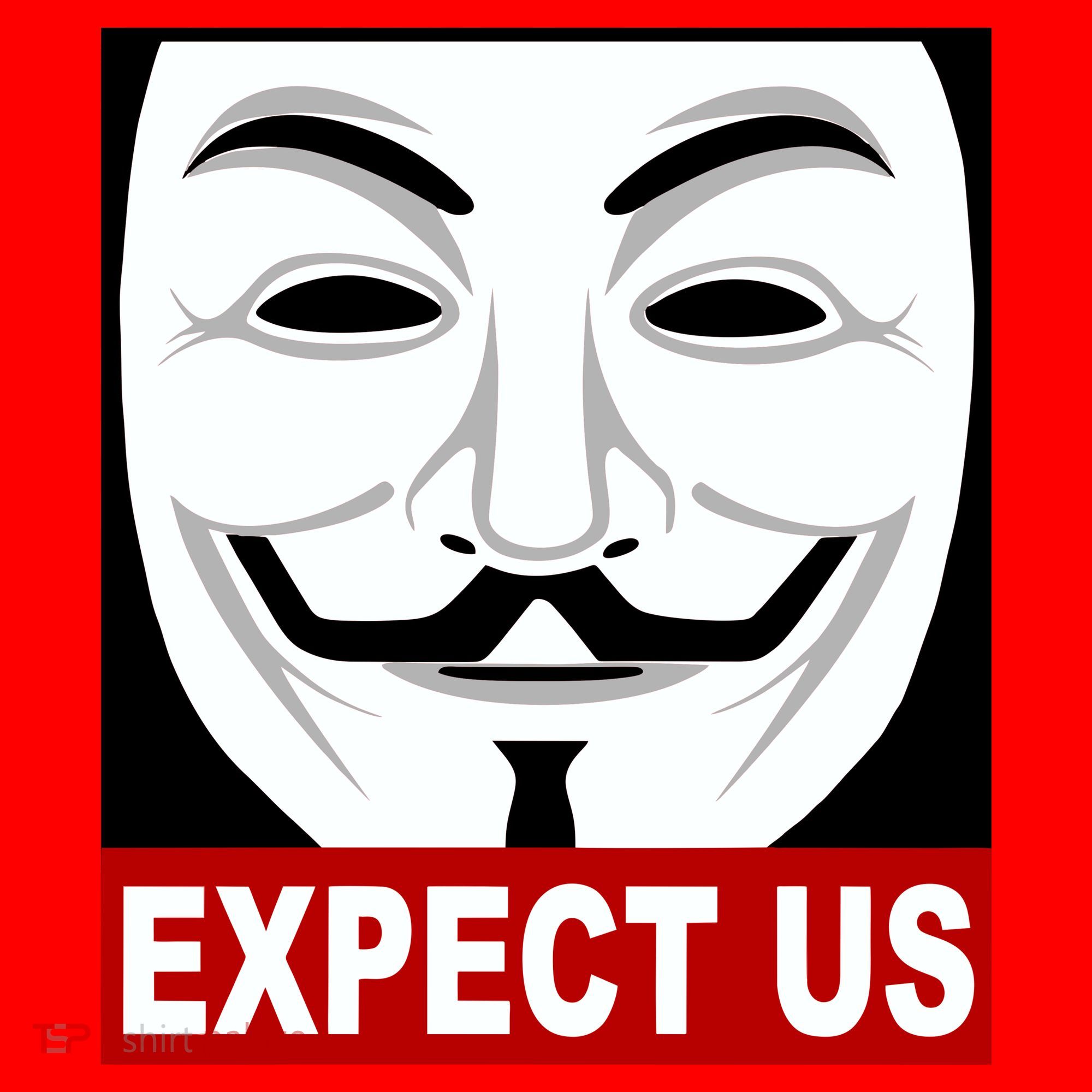 Anonymous Expect Us Internet Santa Hat