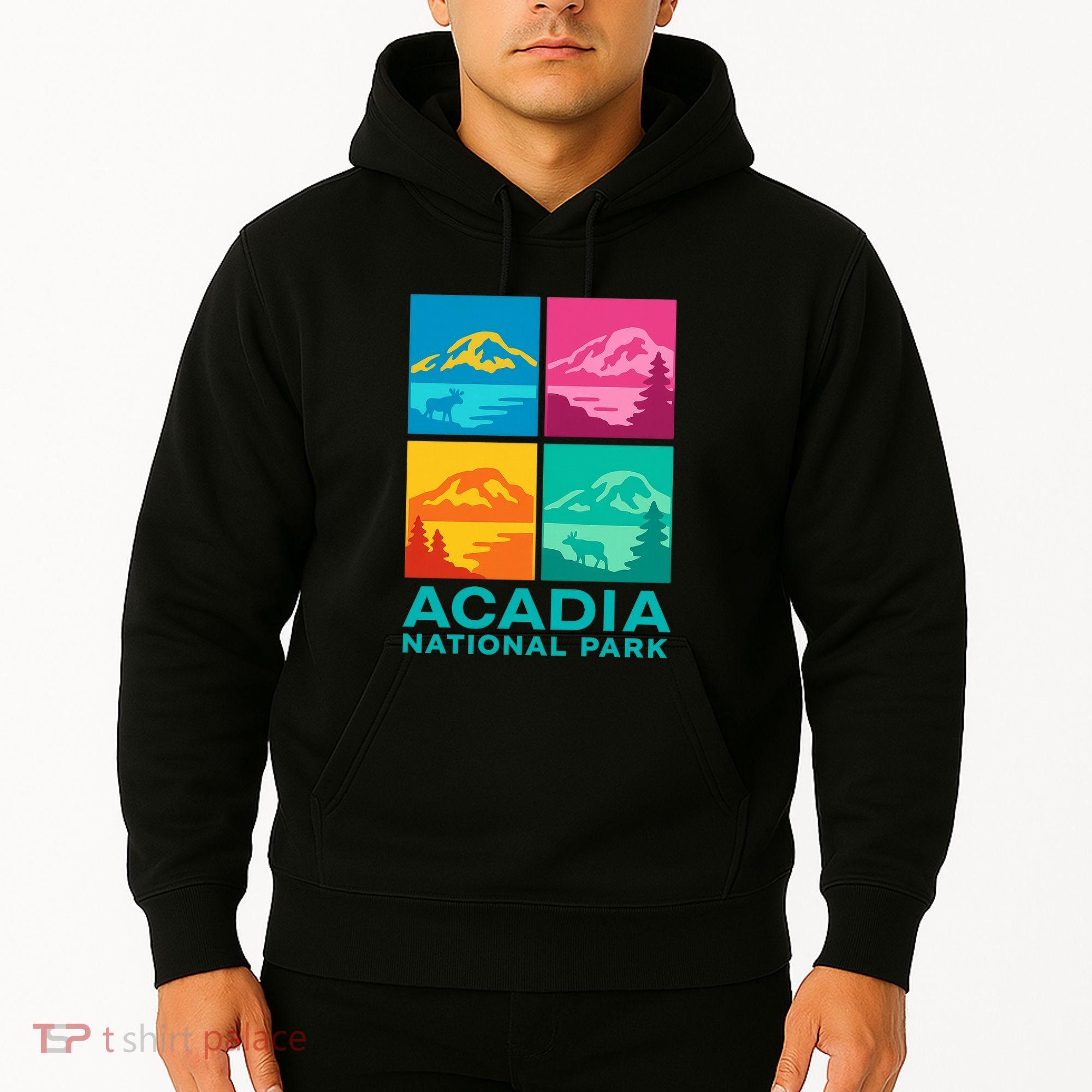 Acadia National Park Warhol Style Hoodie