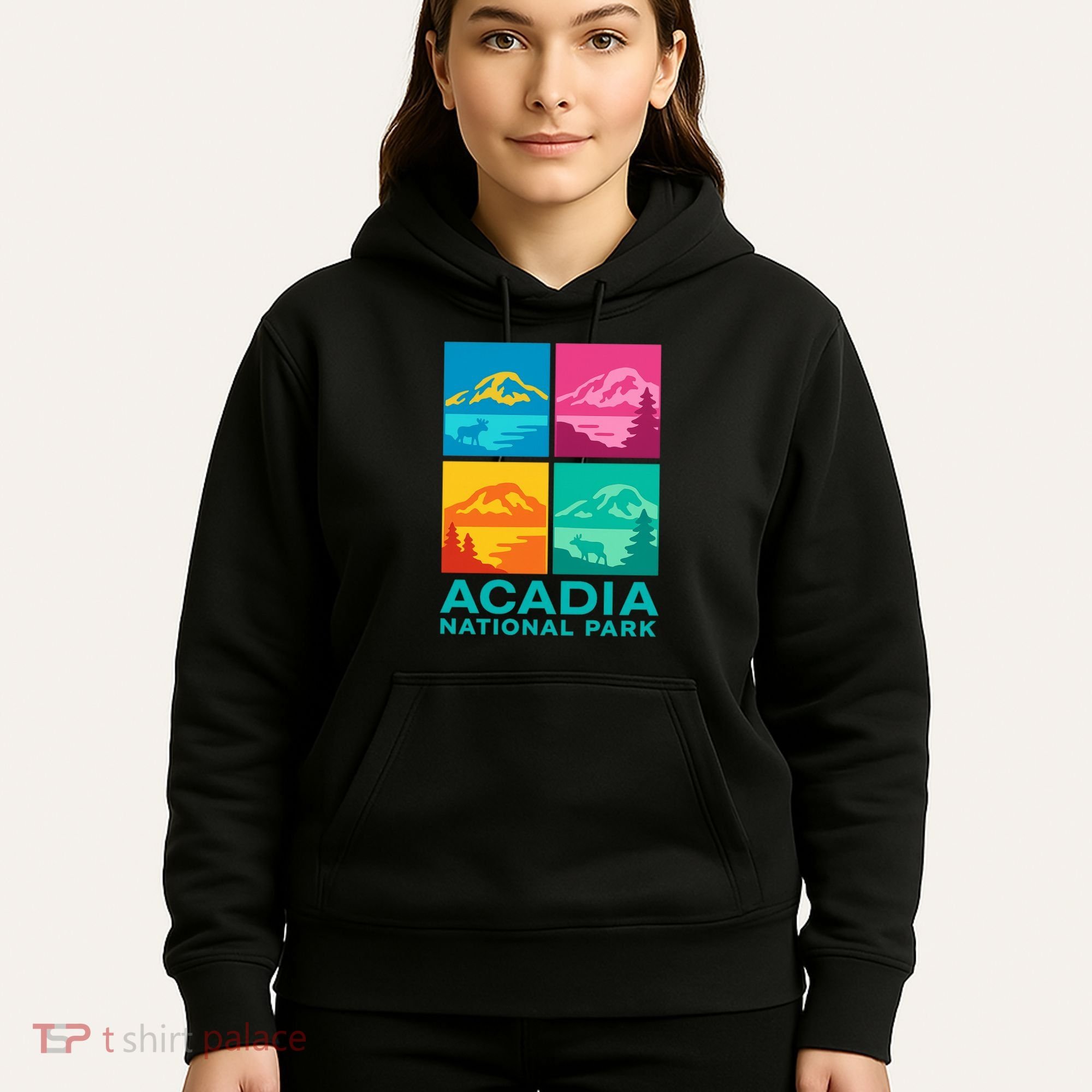 Acadia National Park Warhol Style Hoodie