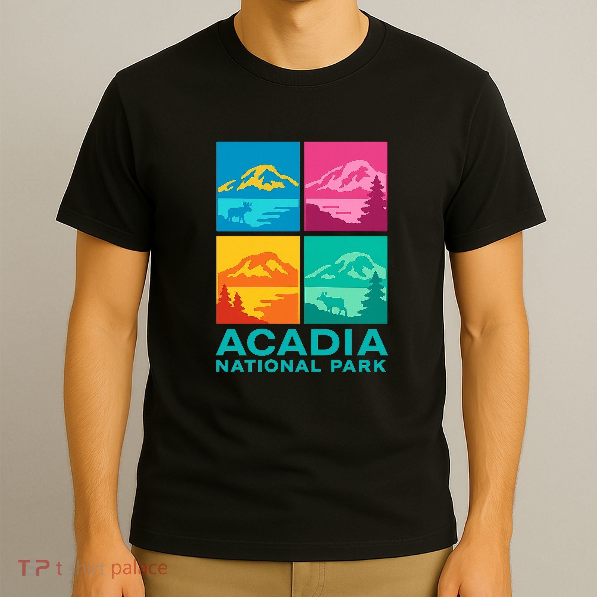 Acadia National Park Warhol Style T-Shirt