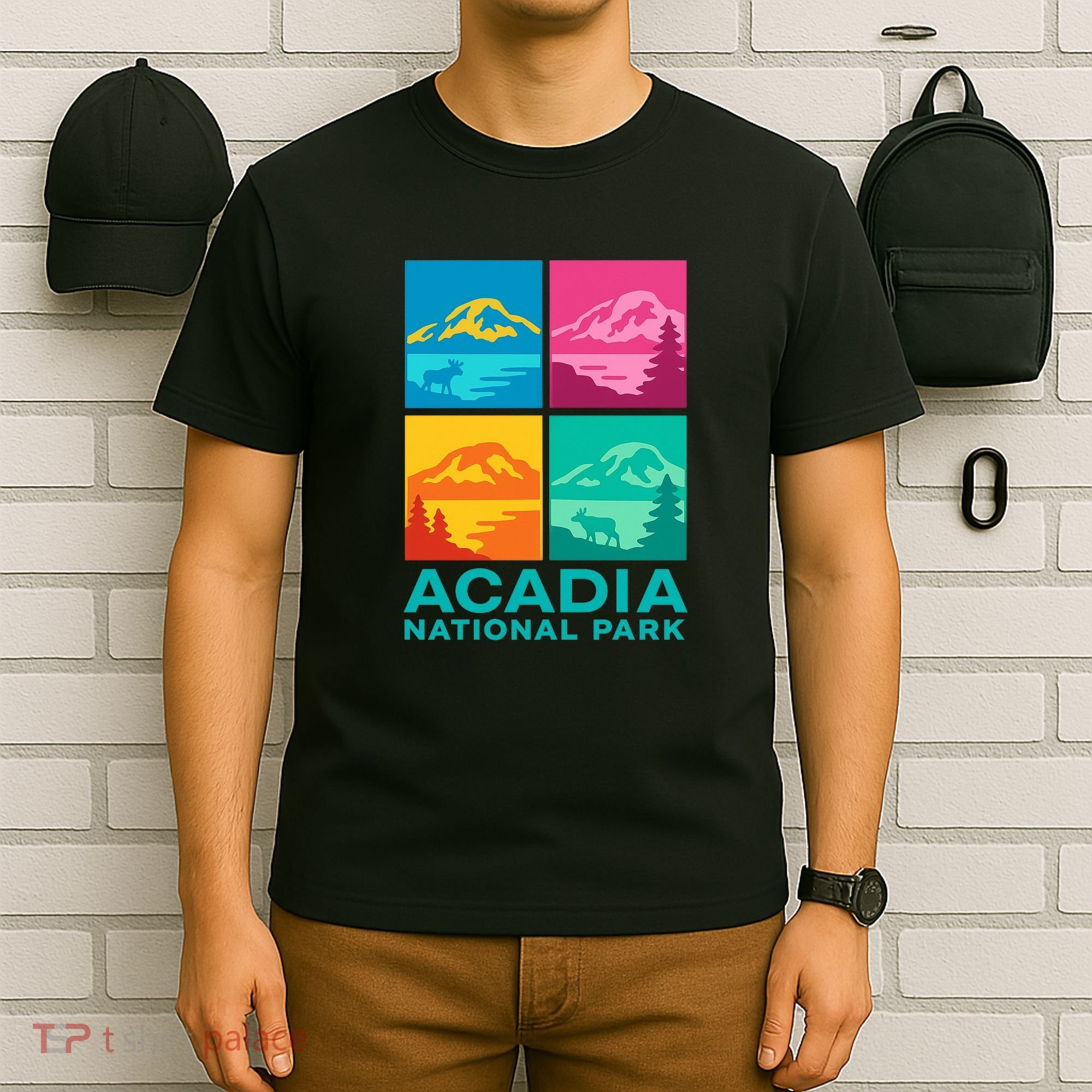 Acadia National Park Warhol Style T-Shirt