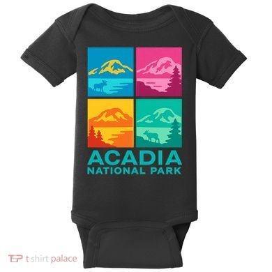 Acadia National Park Warhol Style Baby Bodysuit