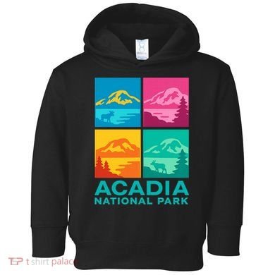 Acadia National Park Warhol Style Toddler Hoodie