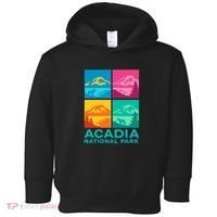 Acadia National Park Warhol Style Toddler Hoodie thumb 0