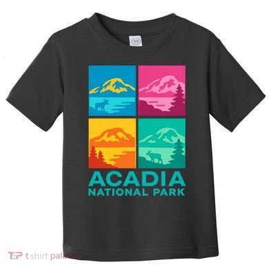Acadia National Park Warhol Style Toddler T-Shirt