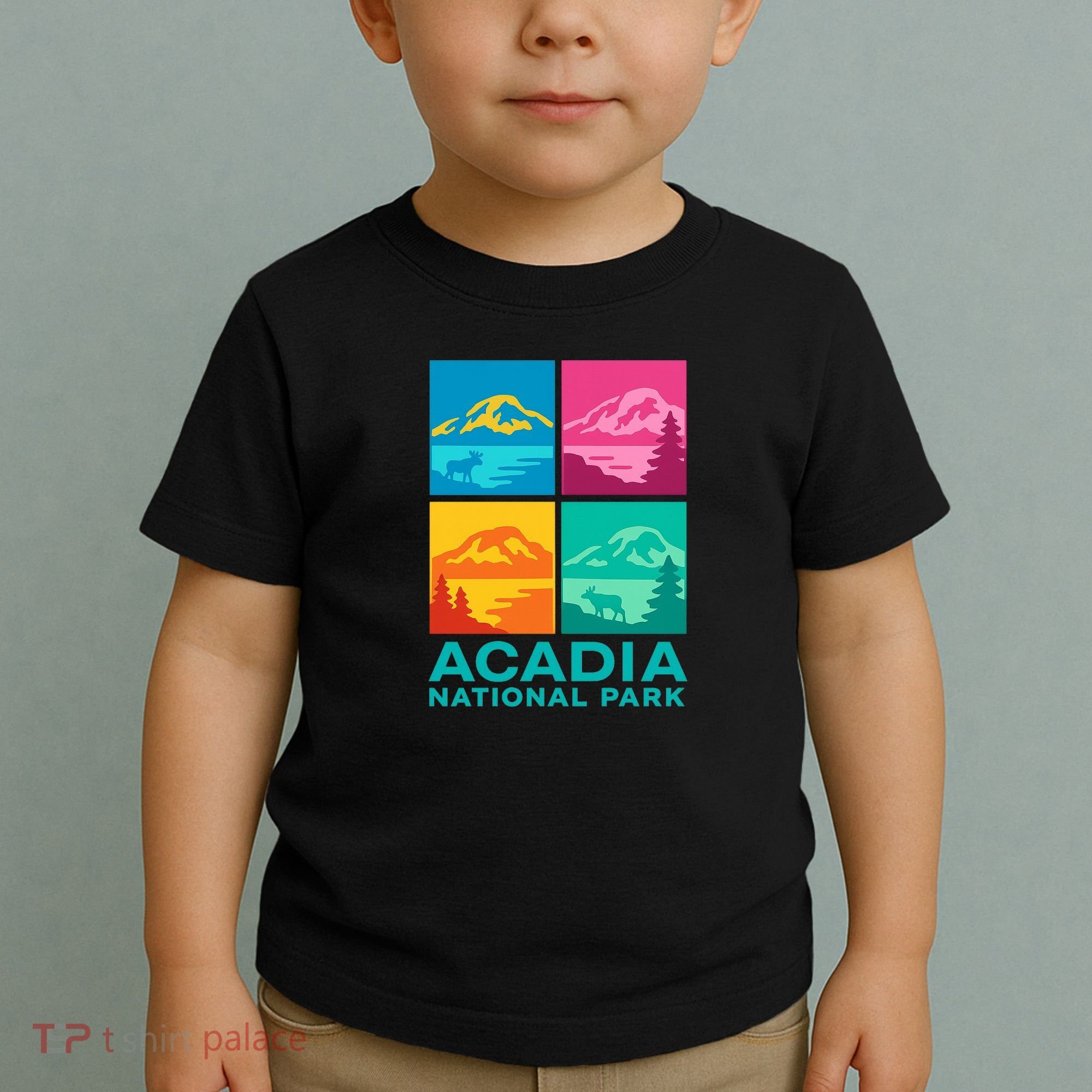Acadia National Park Warhol Style Toddler T-Shirt