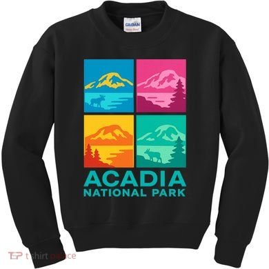 Acadia National Park Warhol Style Kids Sweatshirt
