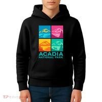 Acadia National Park Warhol Style Kids Hoodie thumb 4