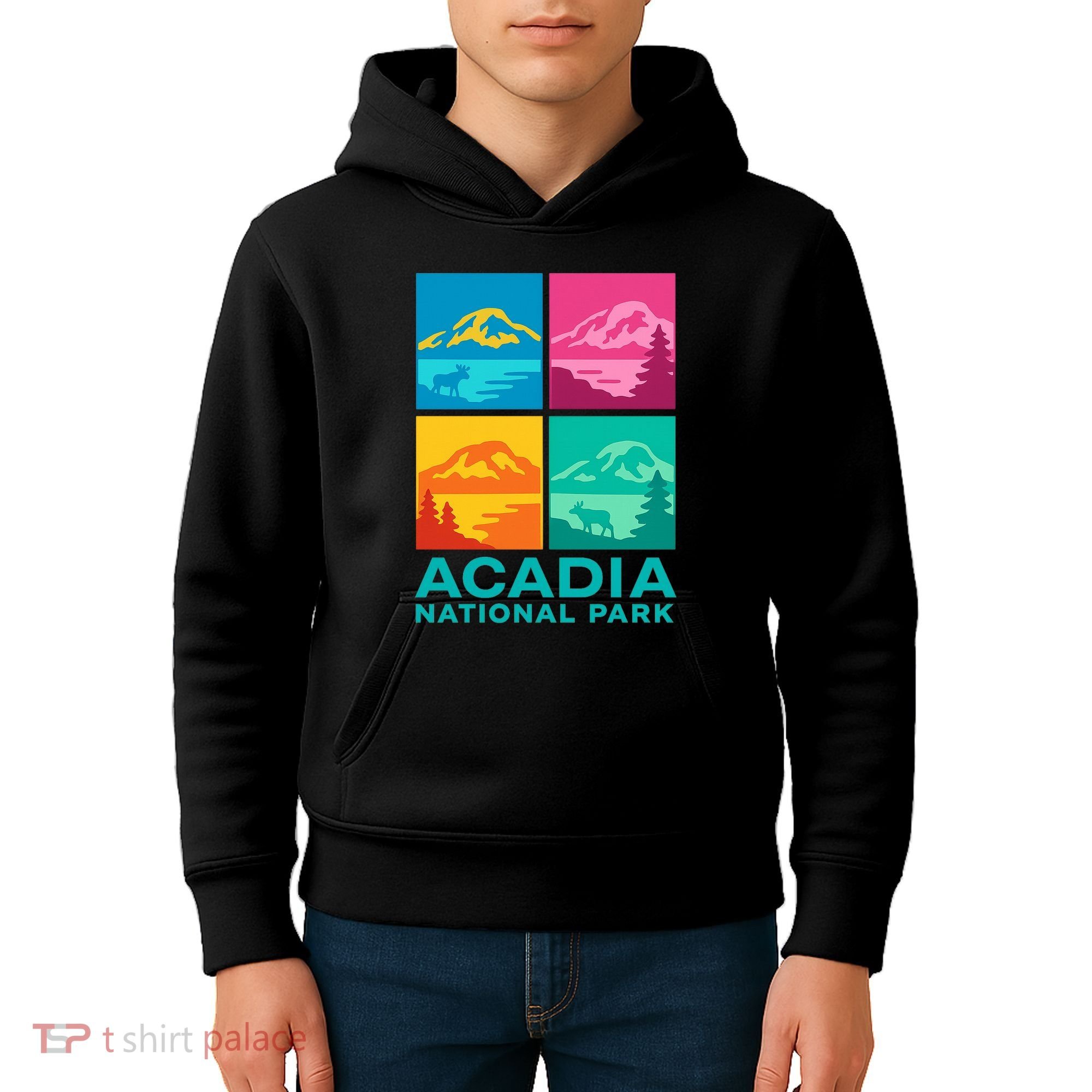 Acadia National Park Warhol Style Kids Hoodie