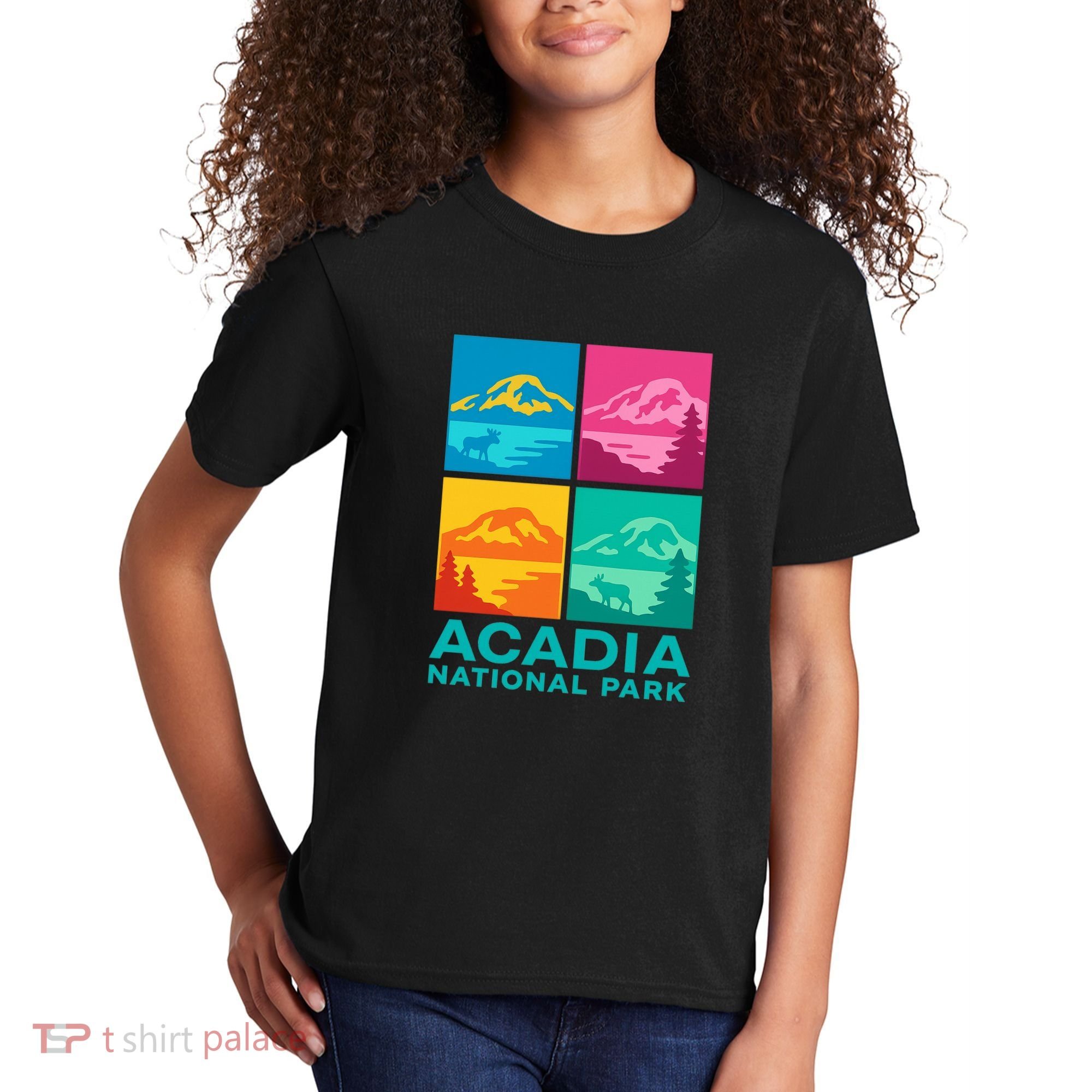 Acadia National Park Warhol Style Kids T-Shirt