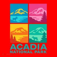 Acadia National Park Warhol Style Santa Hat thumb 1