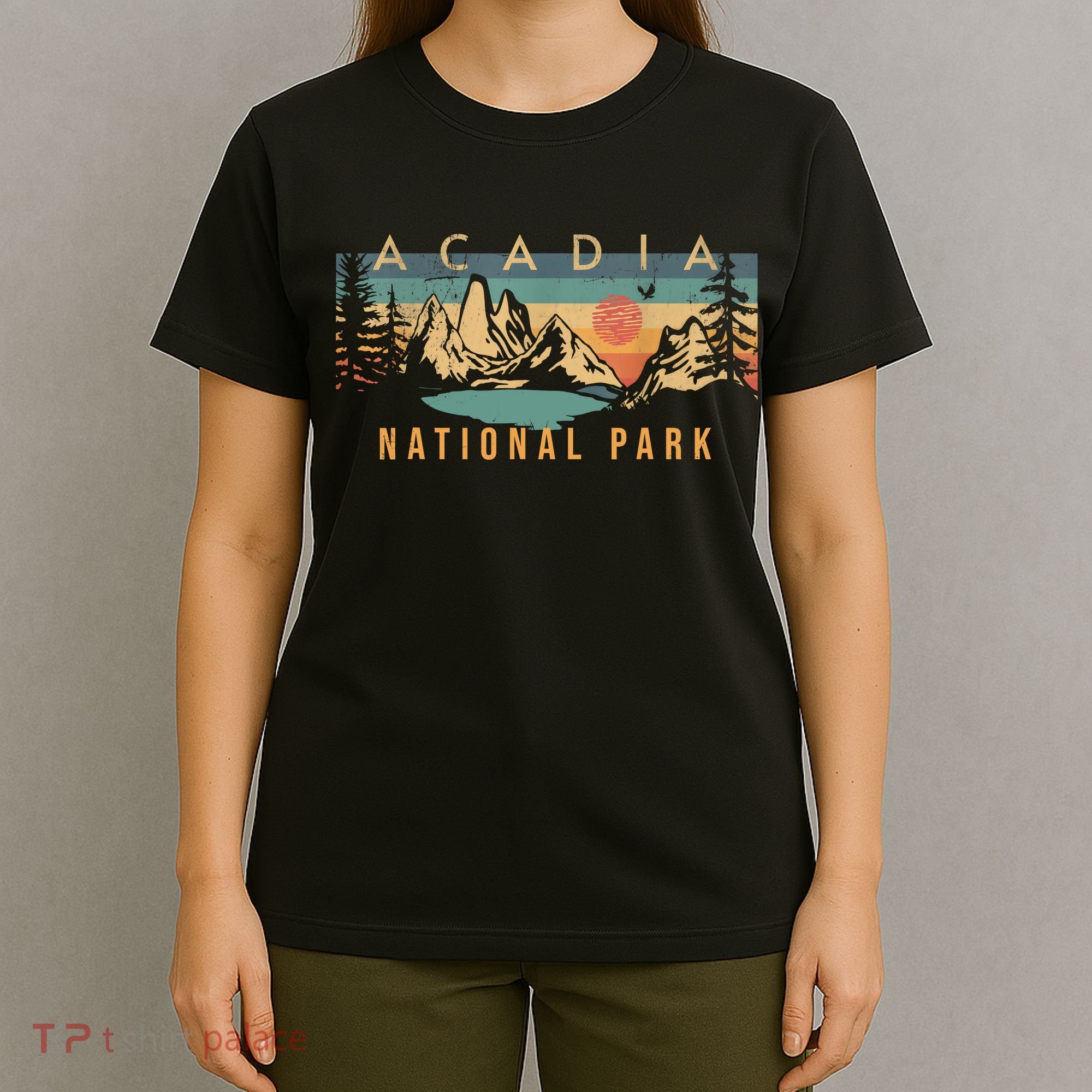 Acadia National Park Vintage Retro T-Shirt