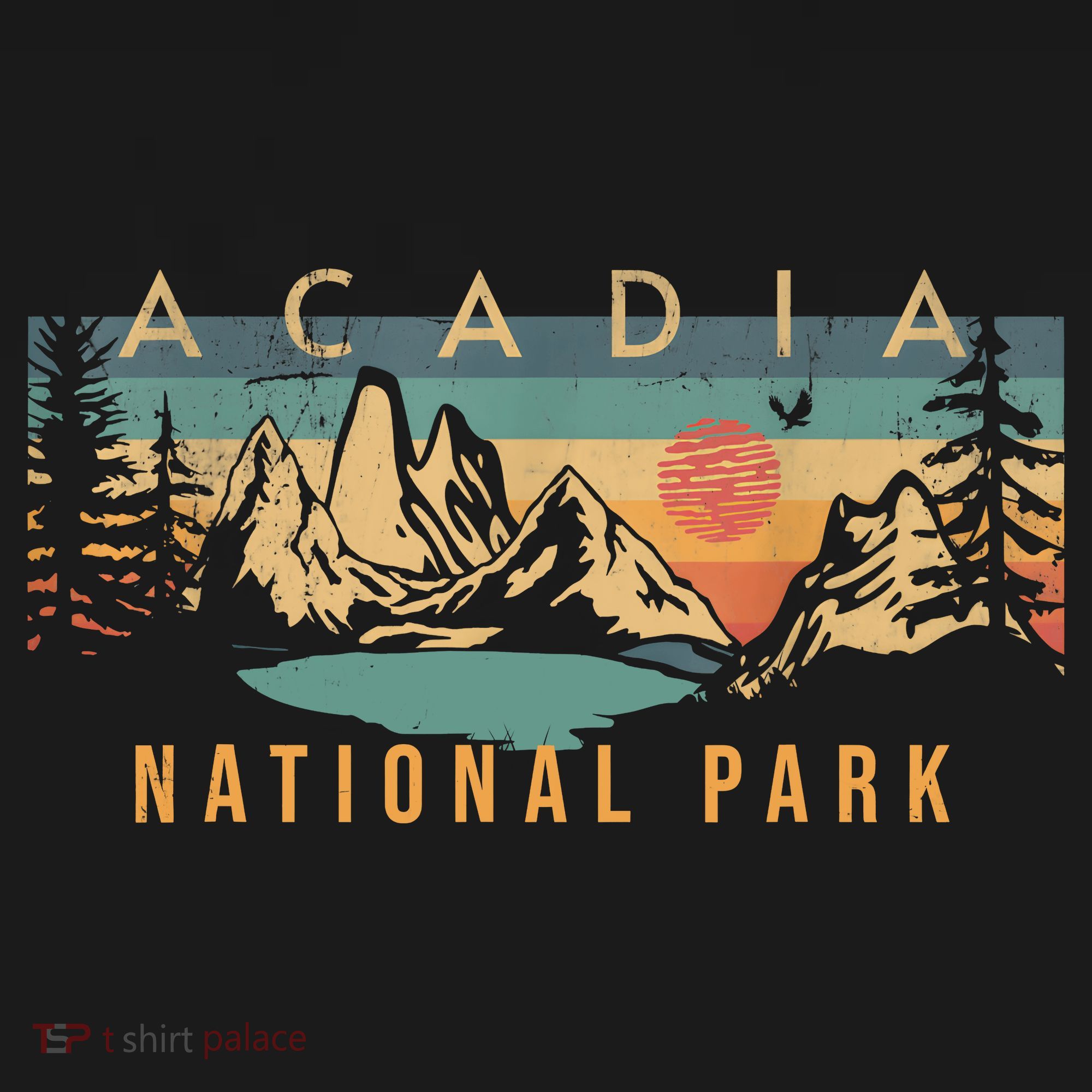 Acadia National Park Vintage Retro T-Shirt