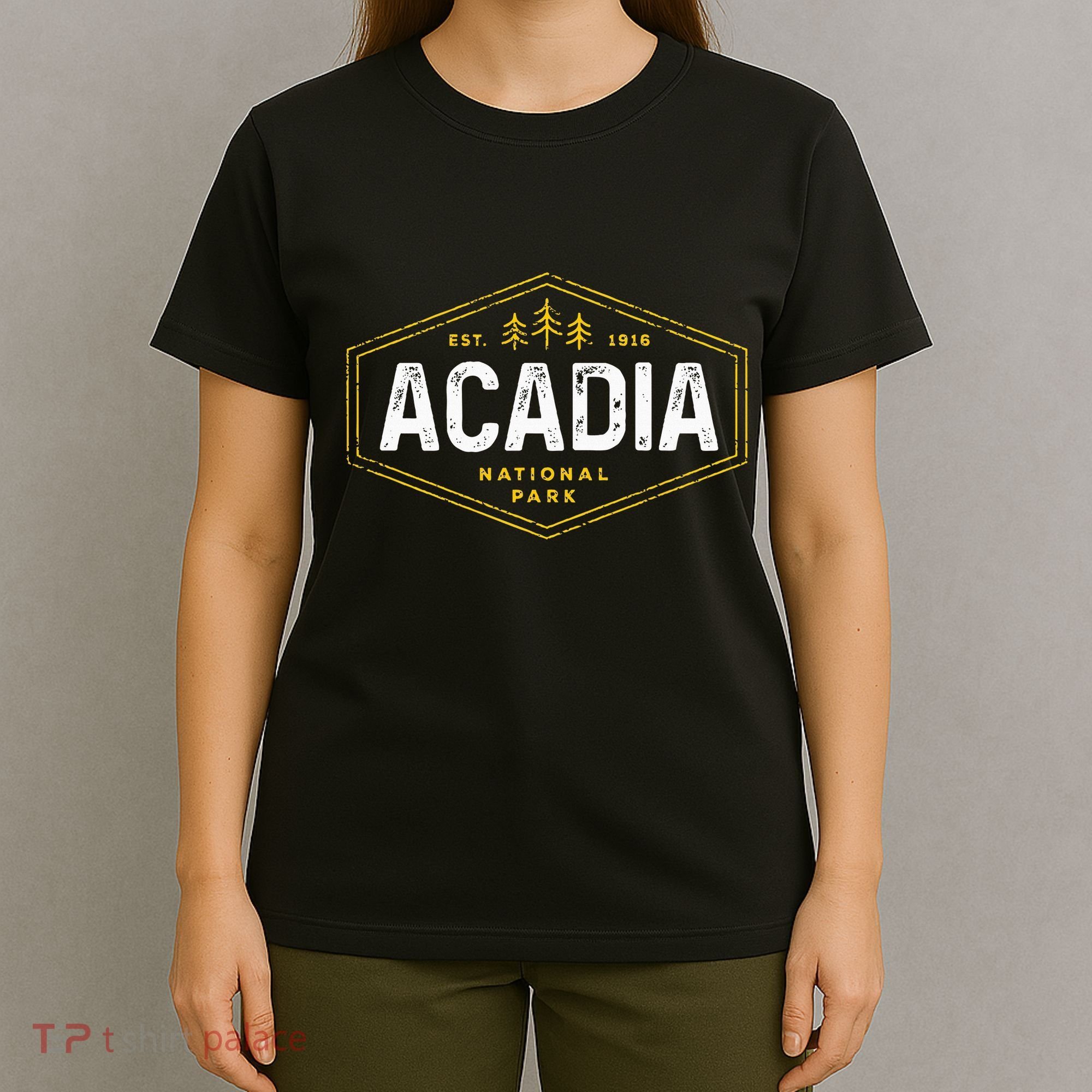 Acadia National Park Vintage Tree Hexagon Badge Hiking T-Shirt