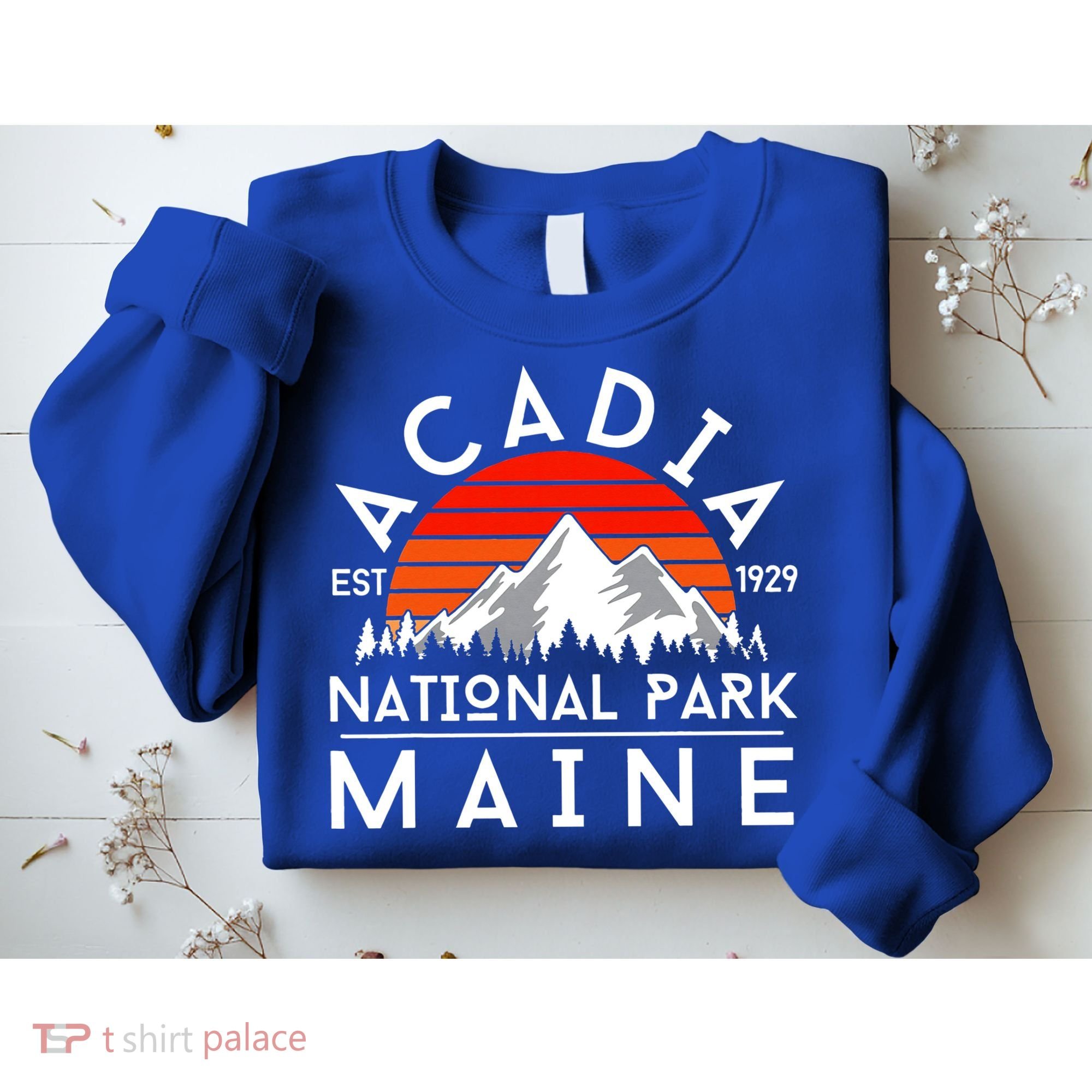 Acadia National Park Maine Hike Outdoors Vintage Sweatshirt