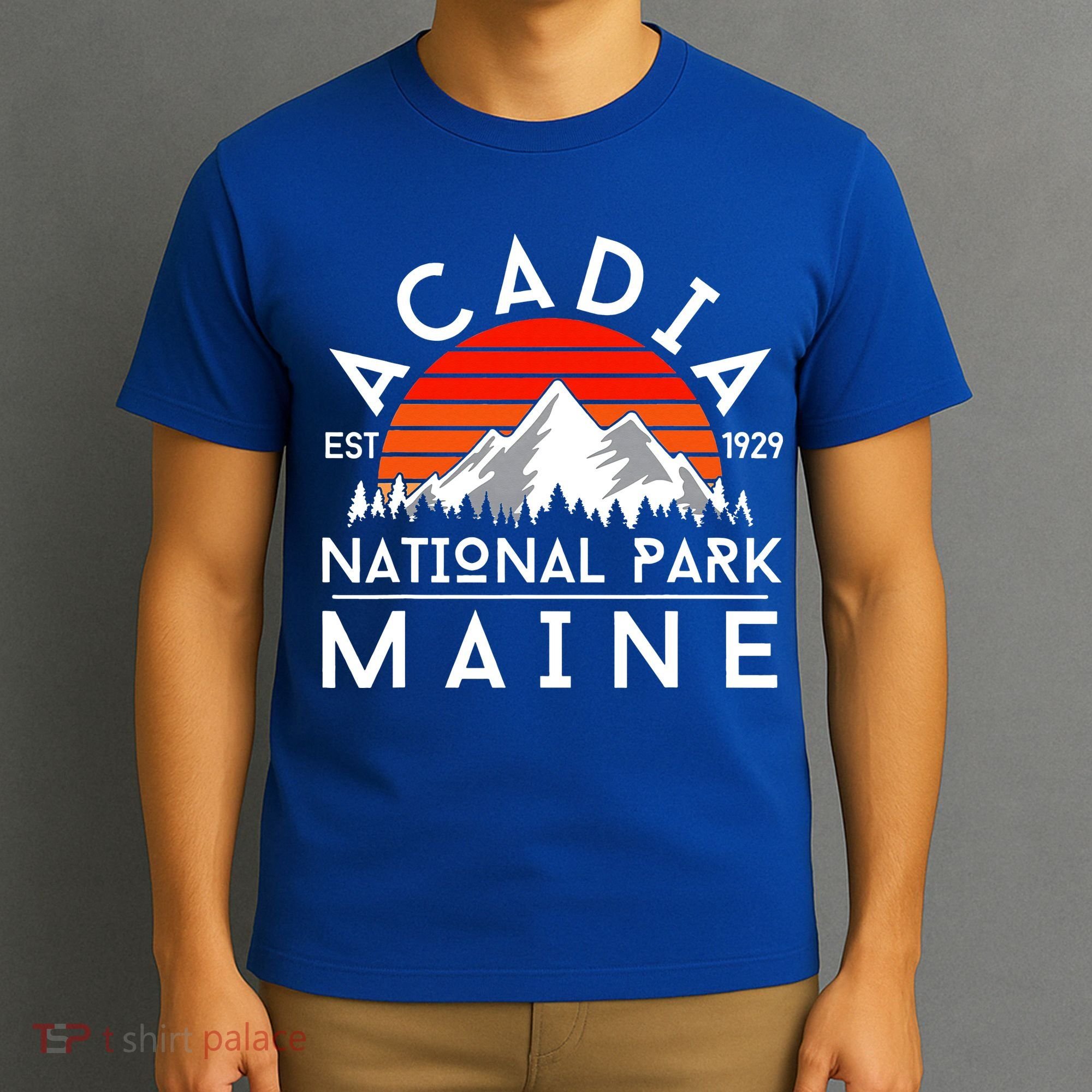 Acadia National Park Maine Hike Outdoors Vintage T-Shirt