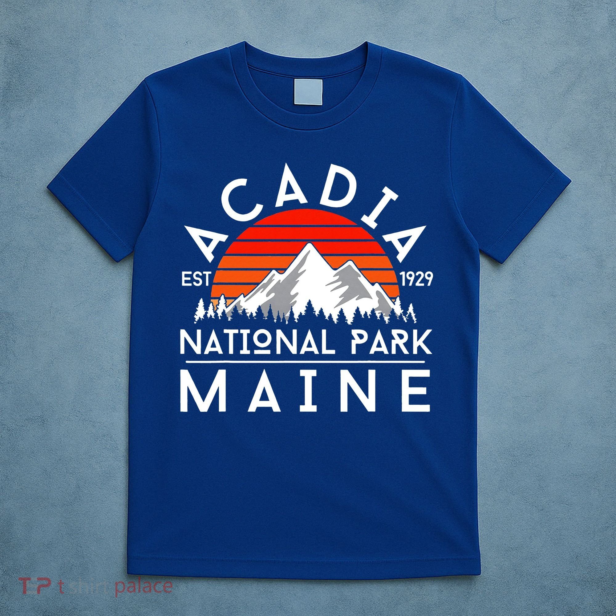 Acadia National Park Maine Hike Outdoors Vintage T-Shirt