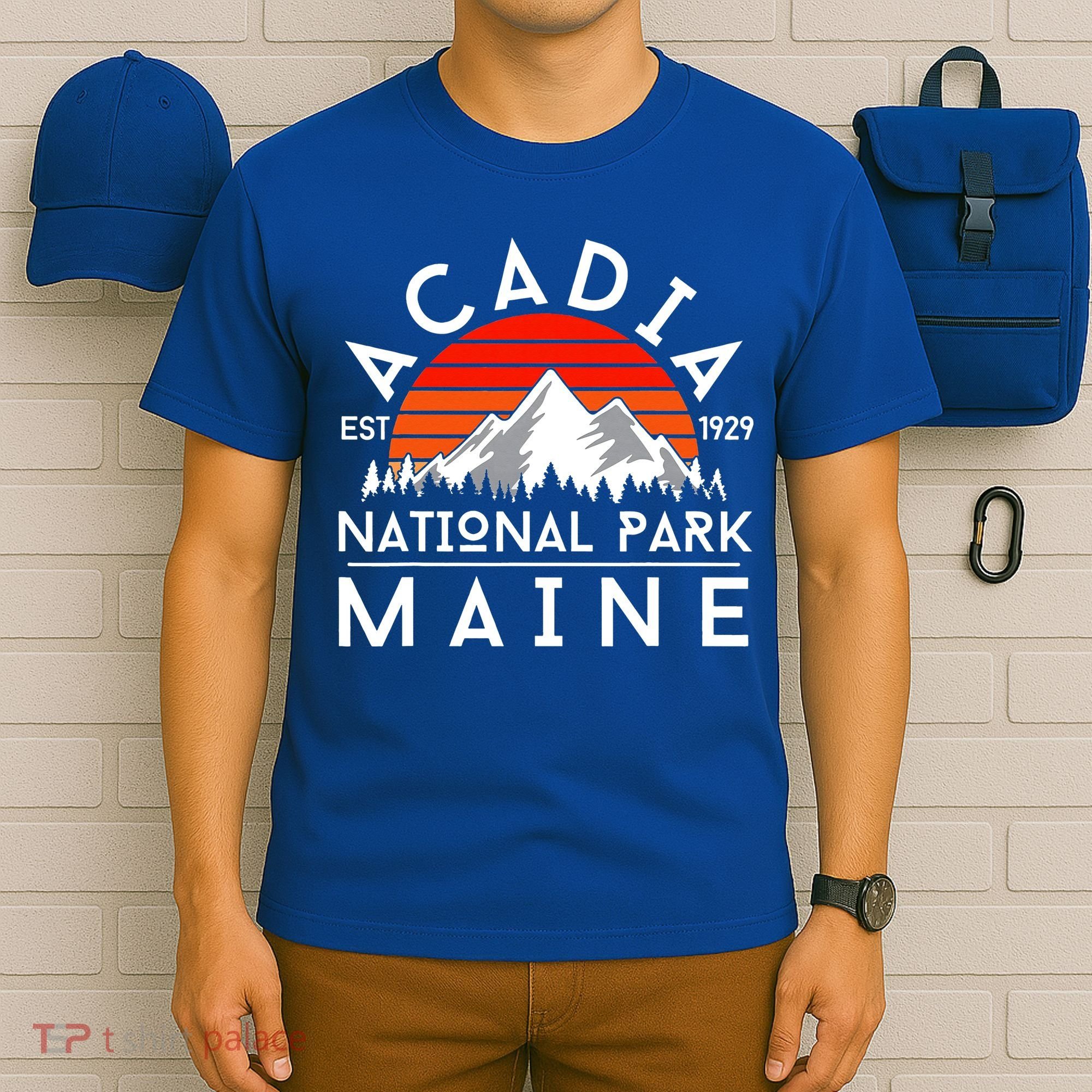 Acadia National Park Maine Hike Outdoors Vintage T-Shirt