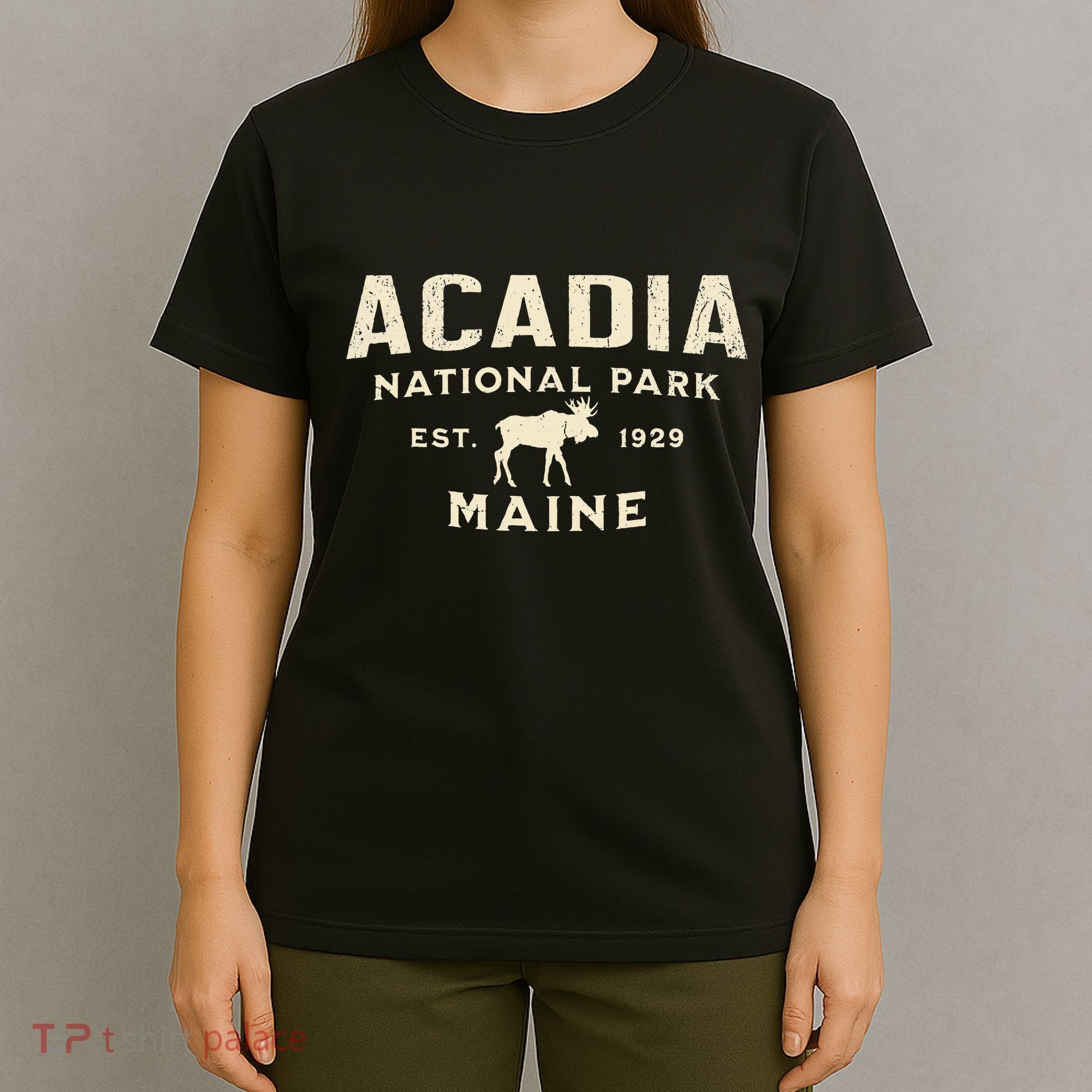 Acadia National Park T-Shirt