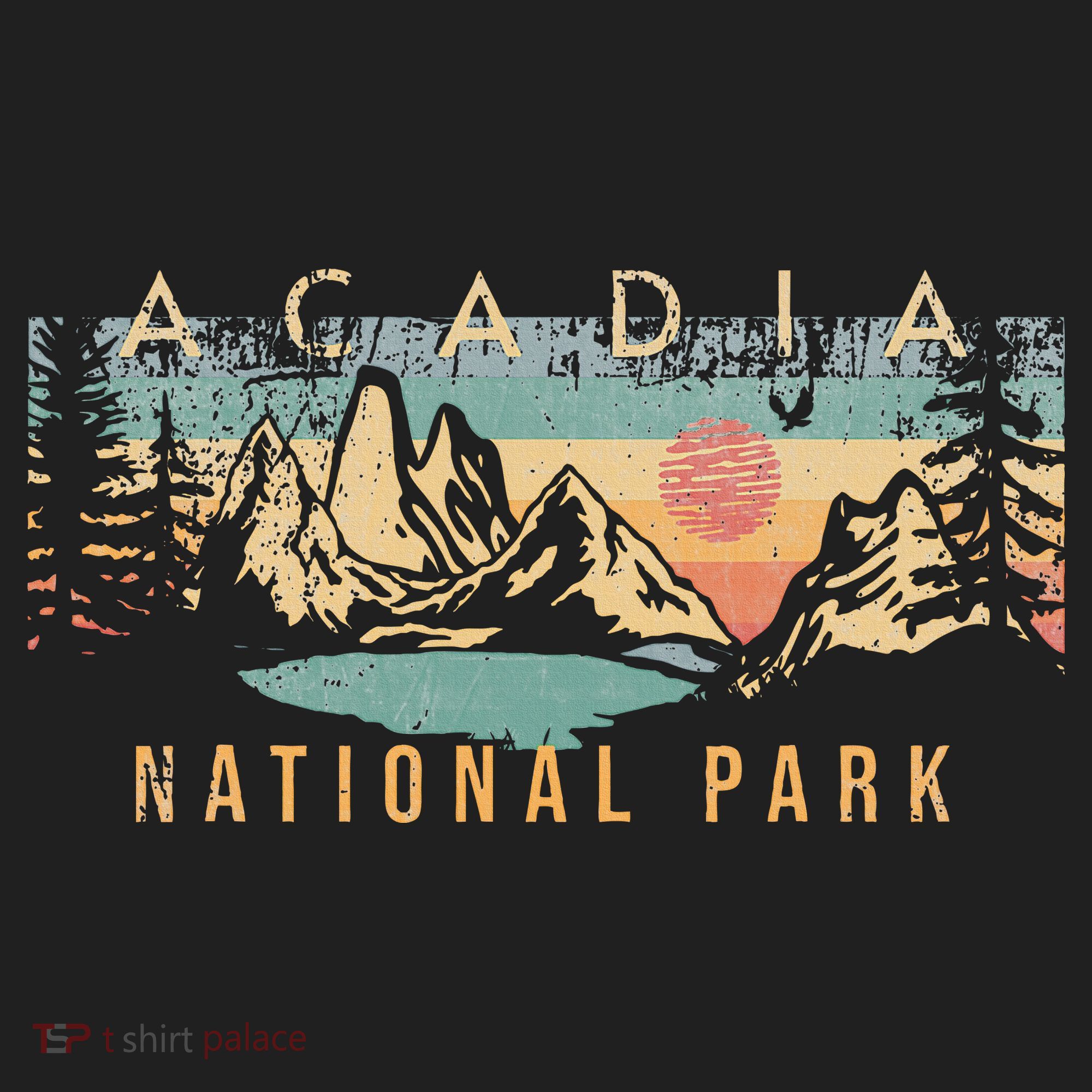 Acadia National Park Hat