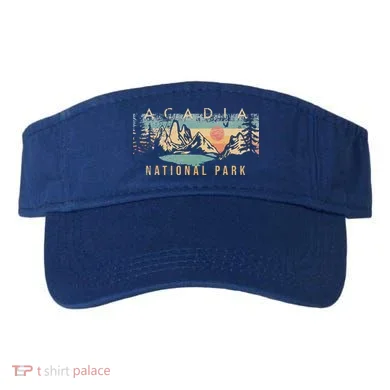 Visor