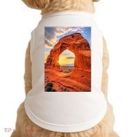 Arches National Park Photographic Doggie Tank thumb 0