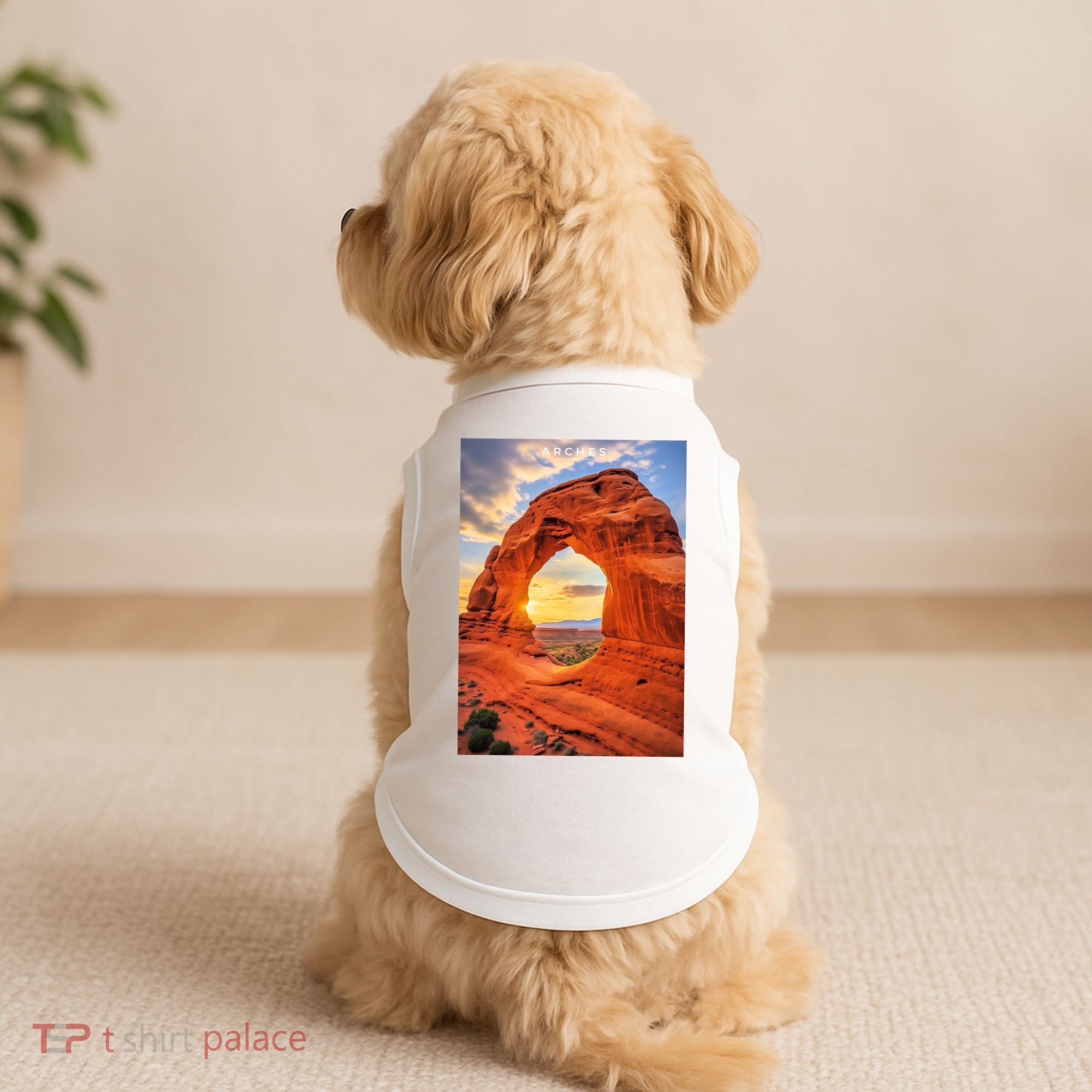 Arches National Park Photographic Doggie Tank