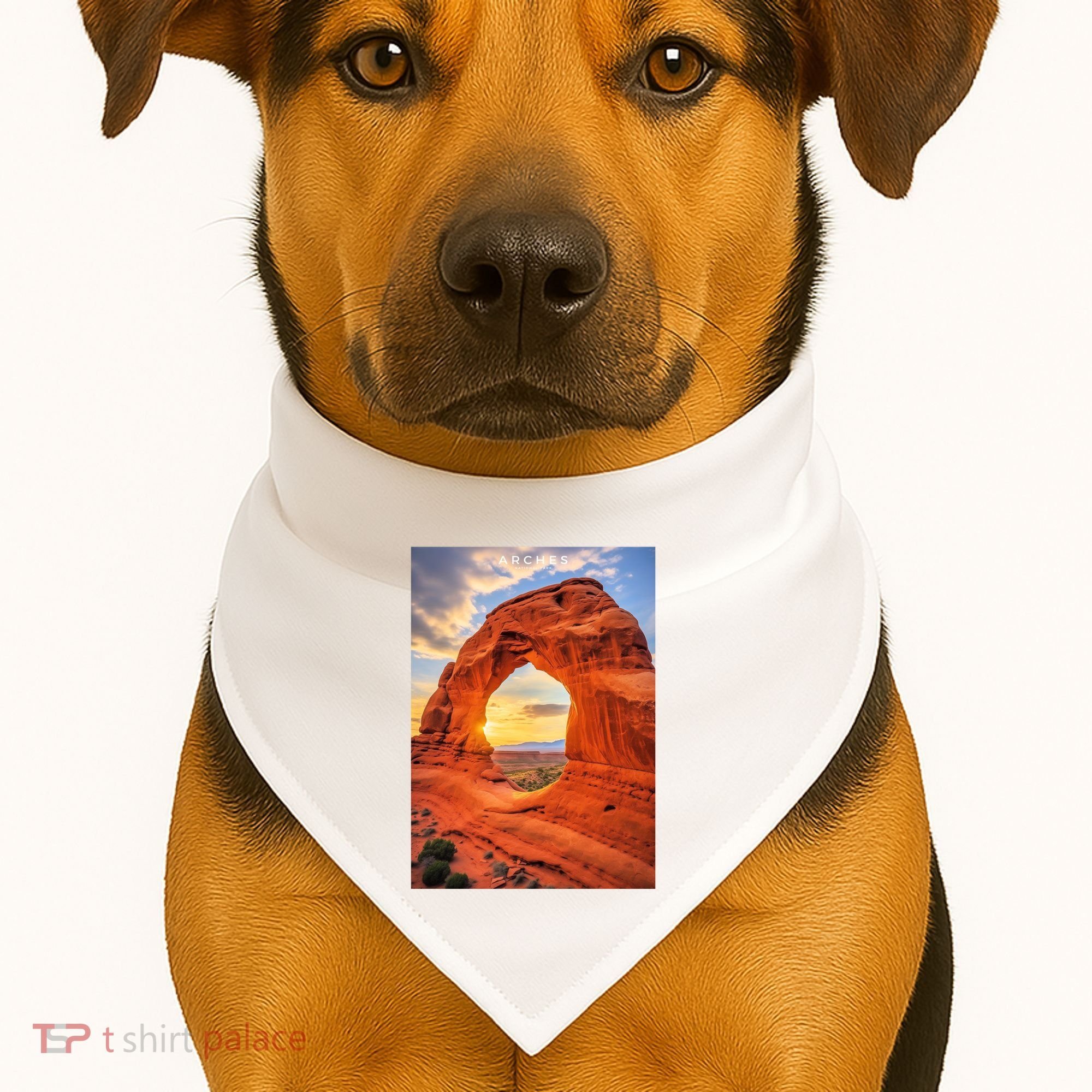 Arches National Park Photographic USA-Made Doggie Bandana