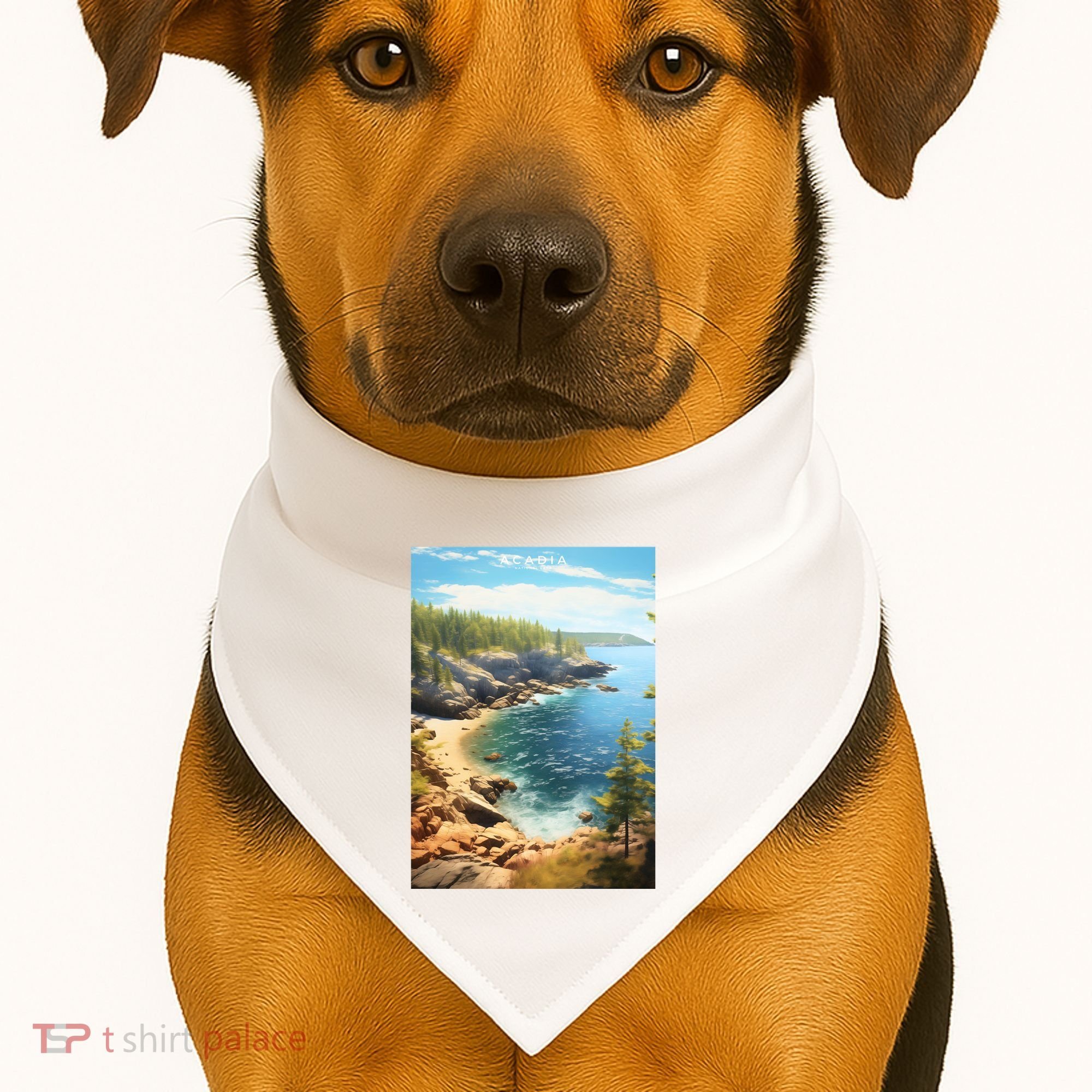 Acadia National Park Photographic USA-Made Doggie Bandana