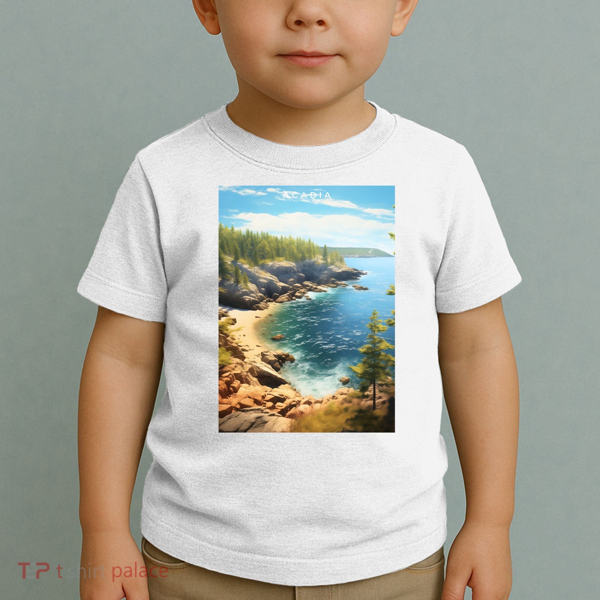 Acadia National Park Photographic Toddler T-Shirt