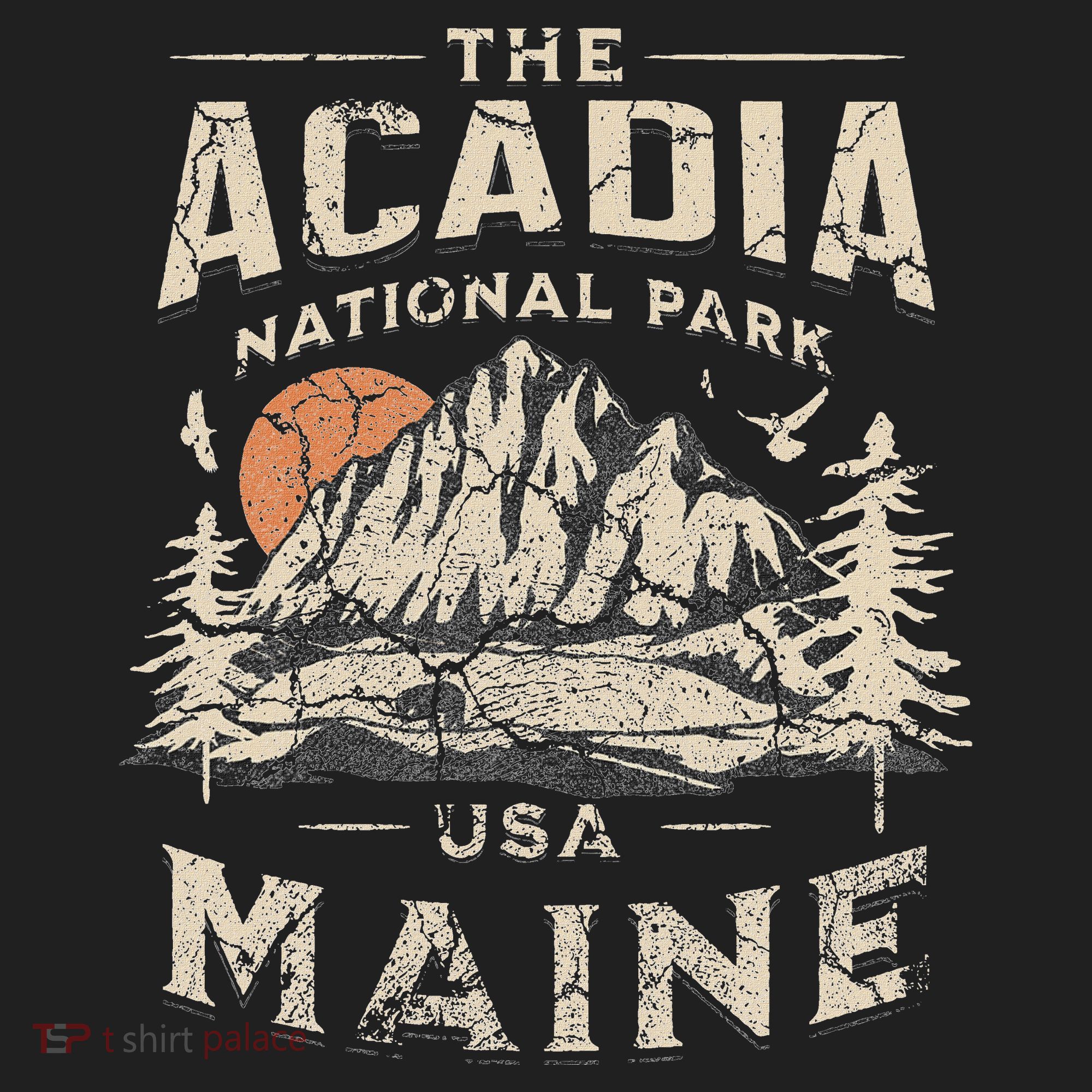 Acadia National Park Beanie